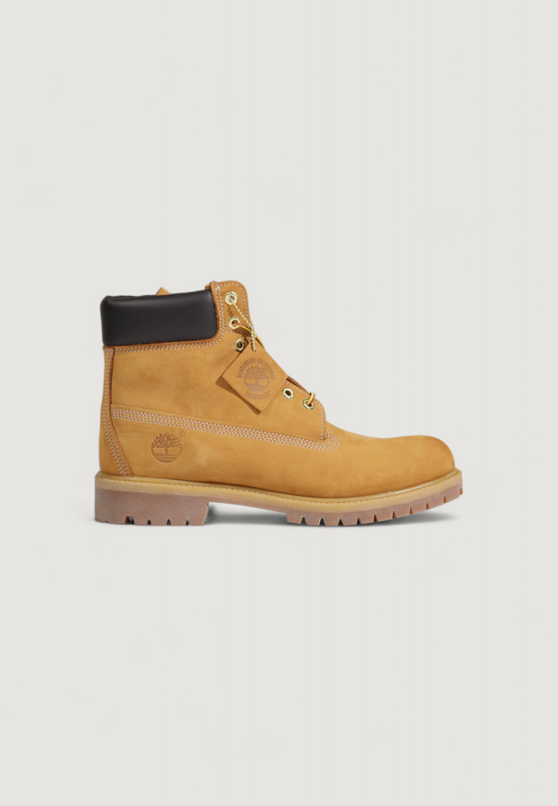 Anfibi TIMBERLAND PREM 6 IN LACE WATERPROOF