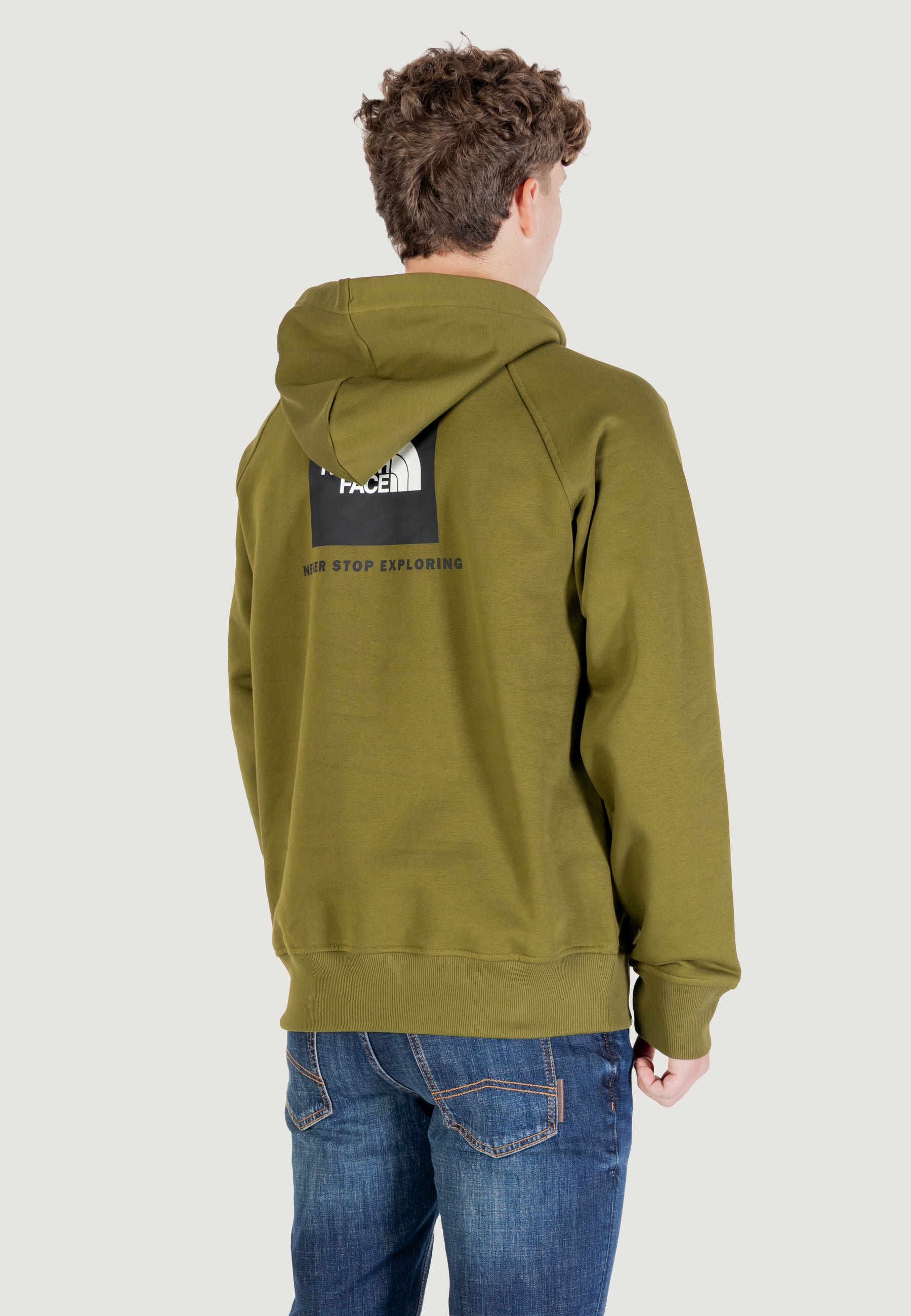 Hoodie THE NORTH FACE M RAGLAN BOX NSE HOODIE