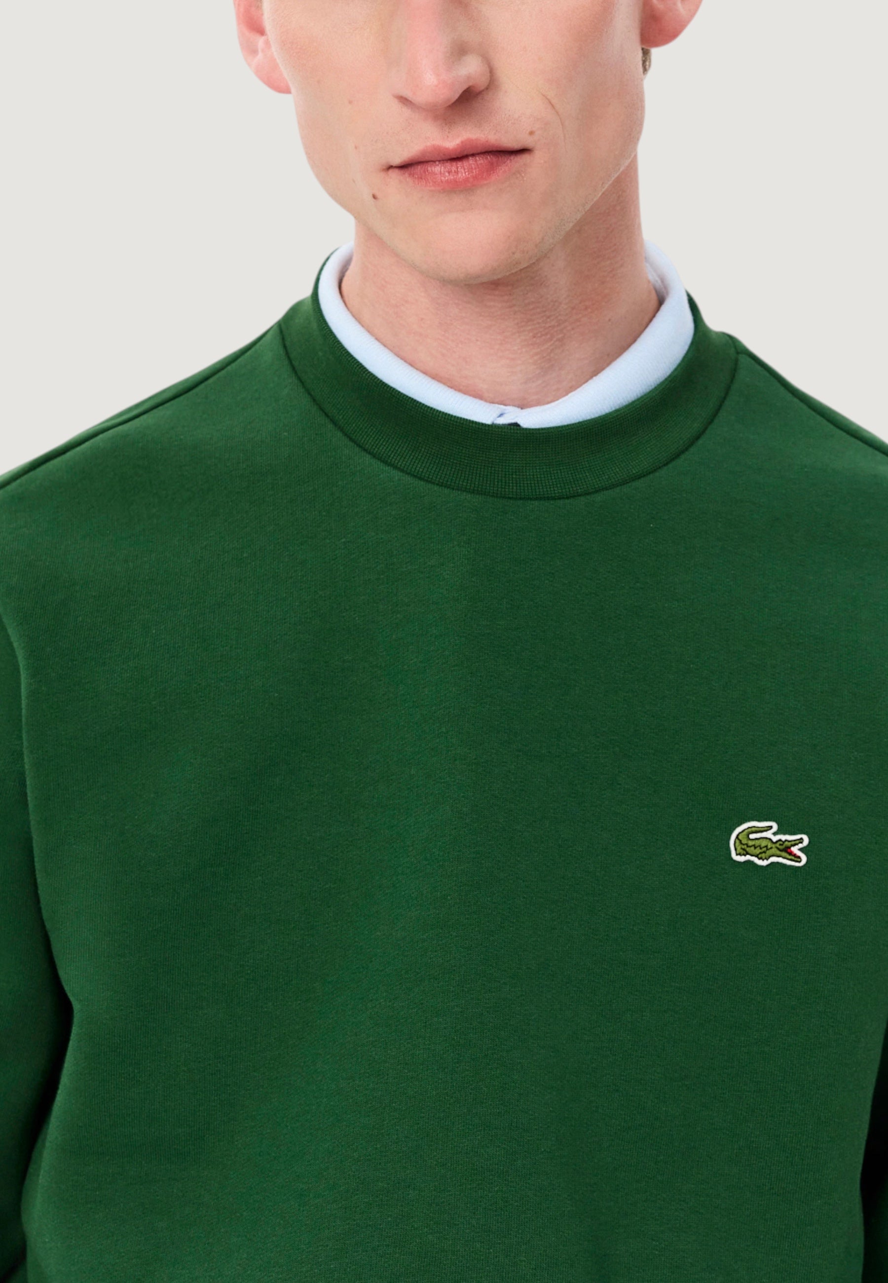 Sweatshirt LACOSTE SWEATSHIRT
