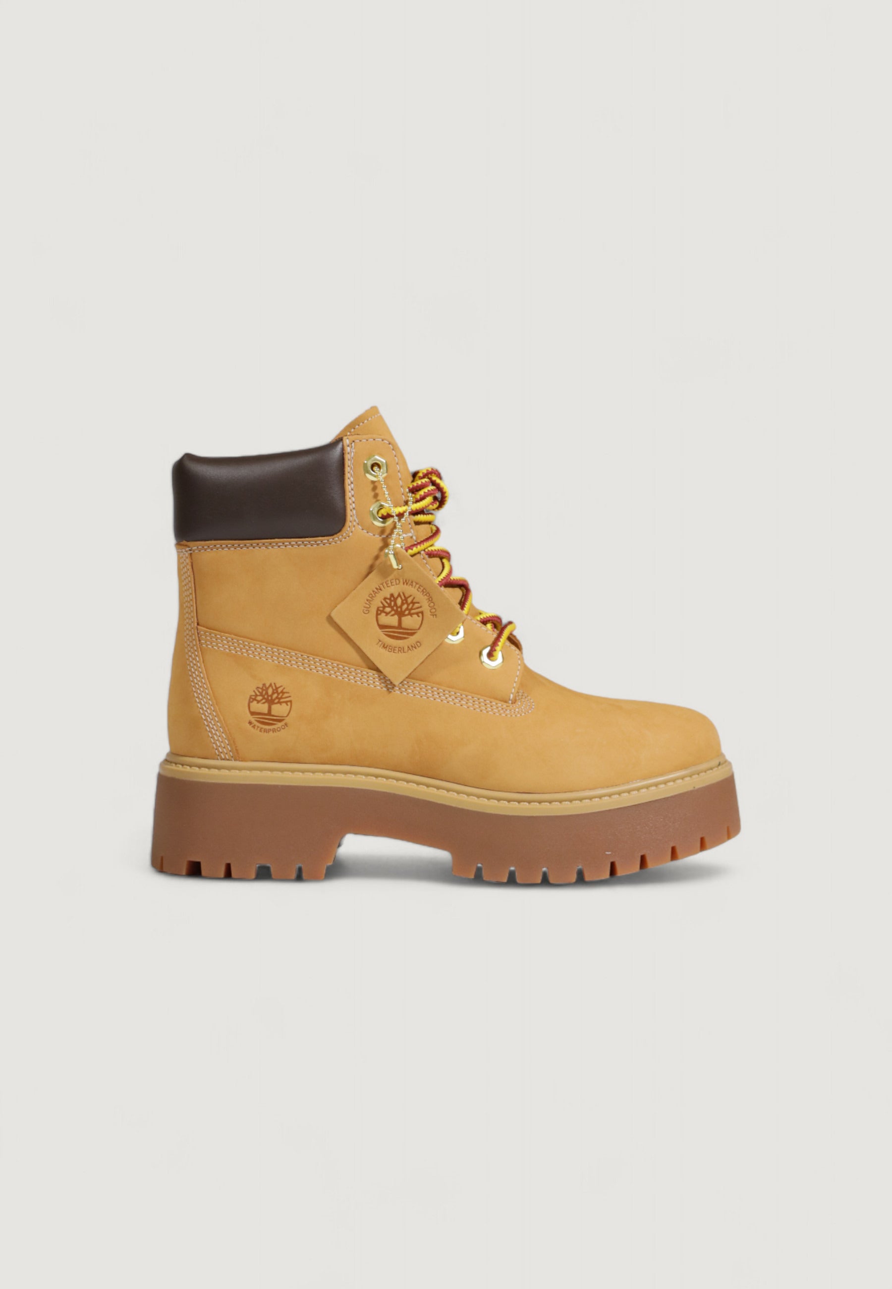 Anfibi TIMBERLAND 6 IN LACE WATERPROOF BOOT