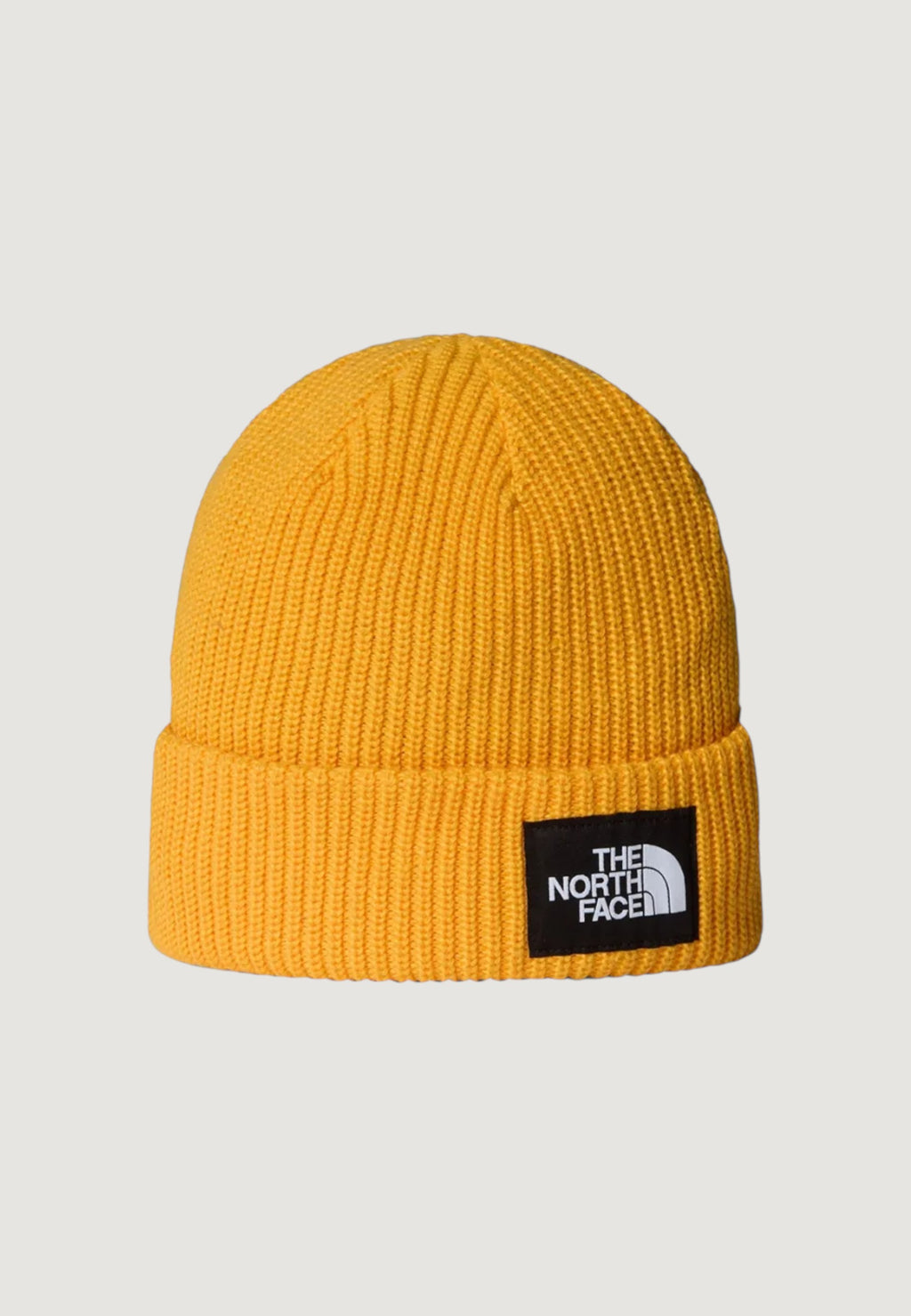 Berretto THE NORTH FACE SALTY LINED BEANIE
