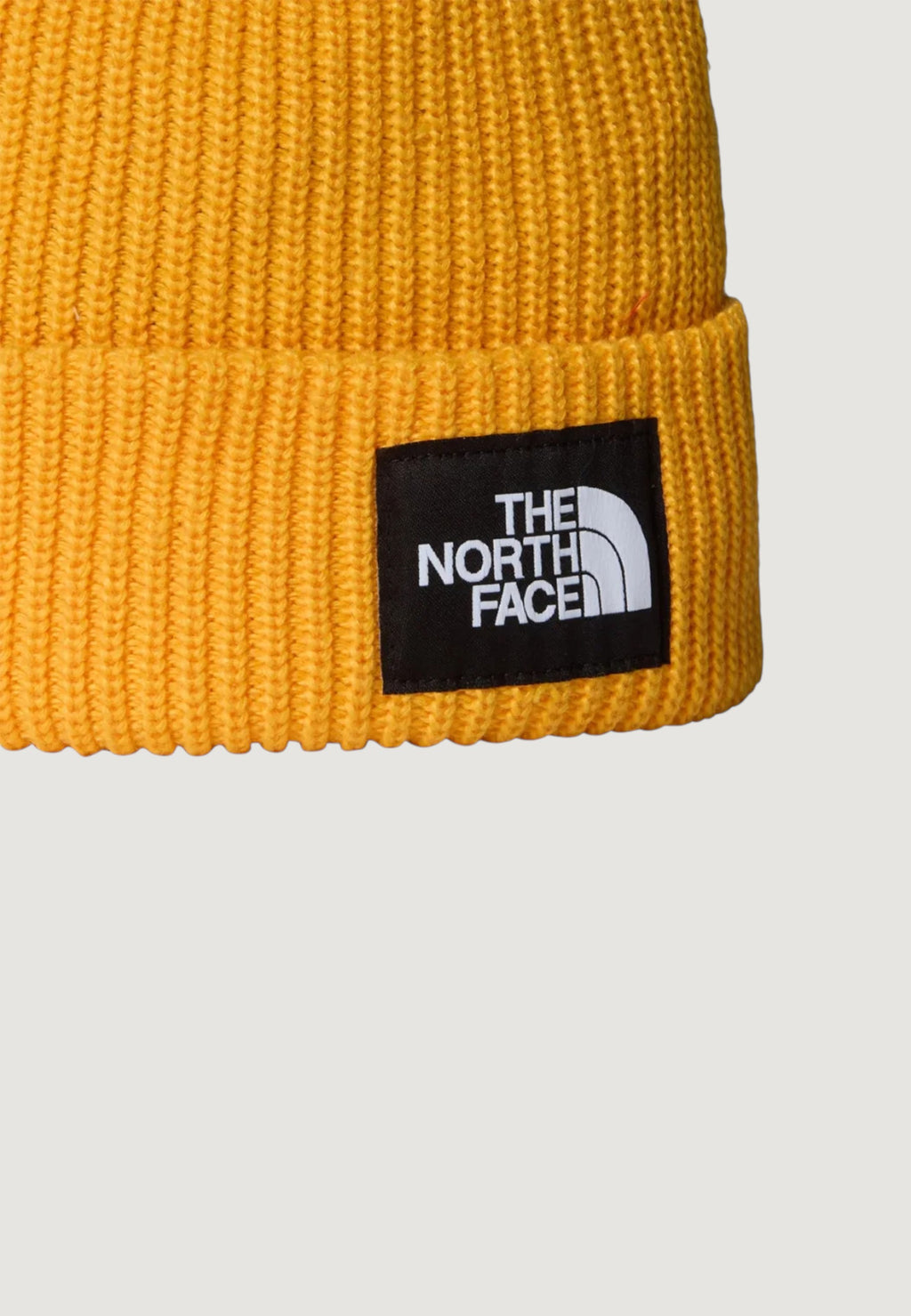 Berretto THE NORTH FACE SALTY LINED BEANIE