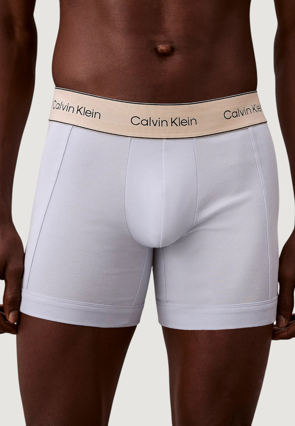 Boxer Calvin Klein Underwear BOXER BRIEF 3PK