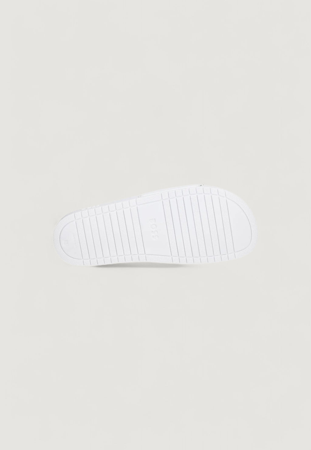  Boss Aryeh_Slid_npvlg 10251721 01