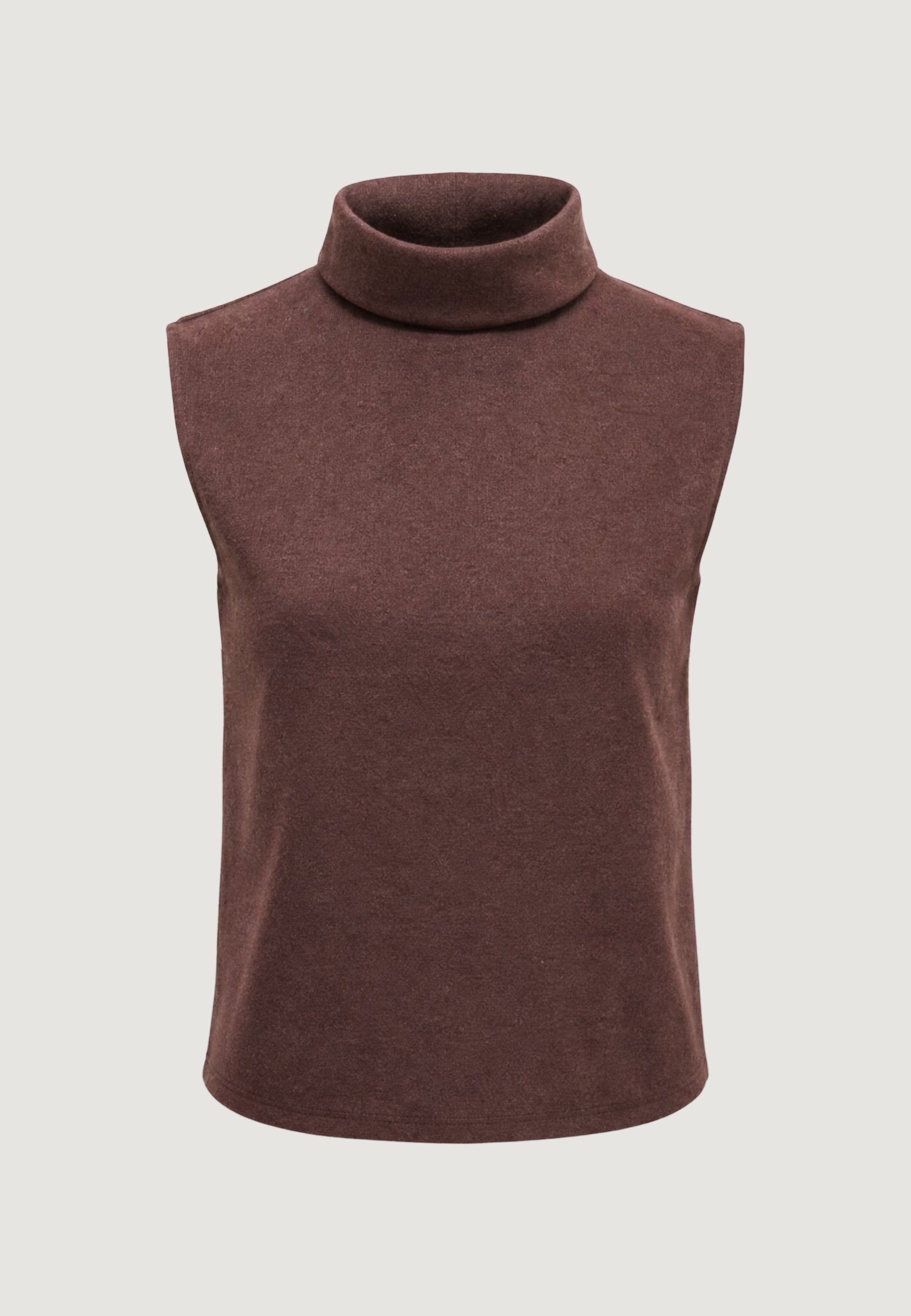 Dolcevita Jacqueline de Yong JDYHERO LIFE S/L TURTLENECK TOP JRS