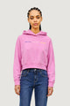 Hoodie Tommy Hilfiger Jeans DW0DW22906