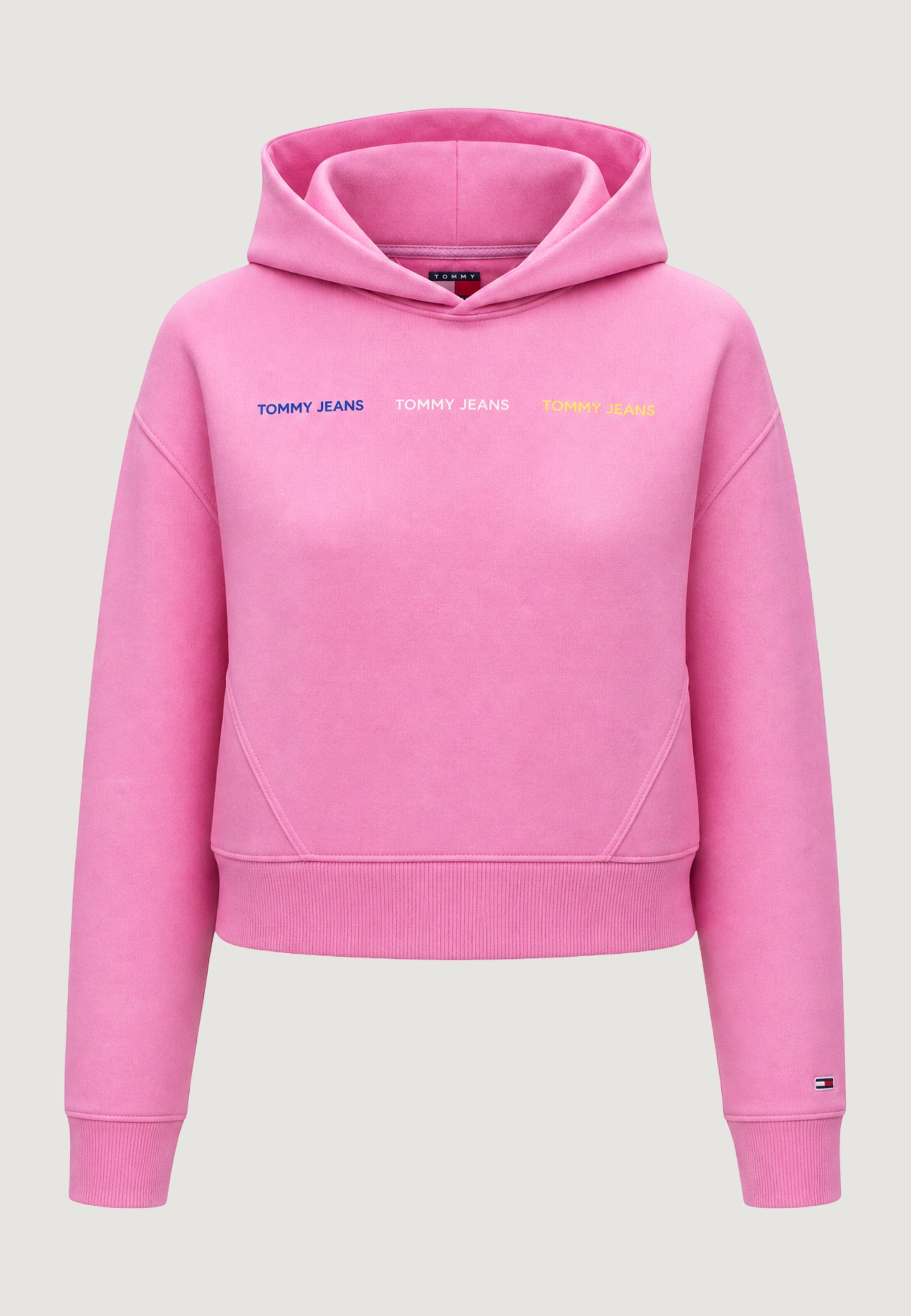 Hoodie Tommy Hilfiger Jeans DW0DW22906