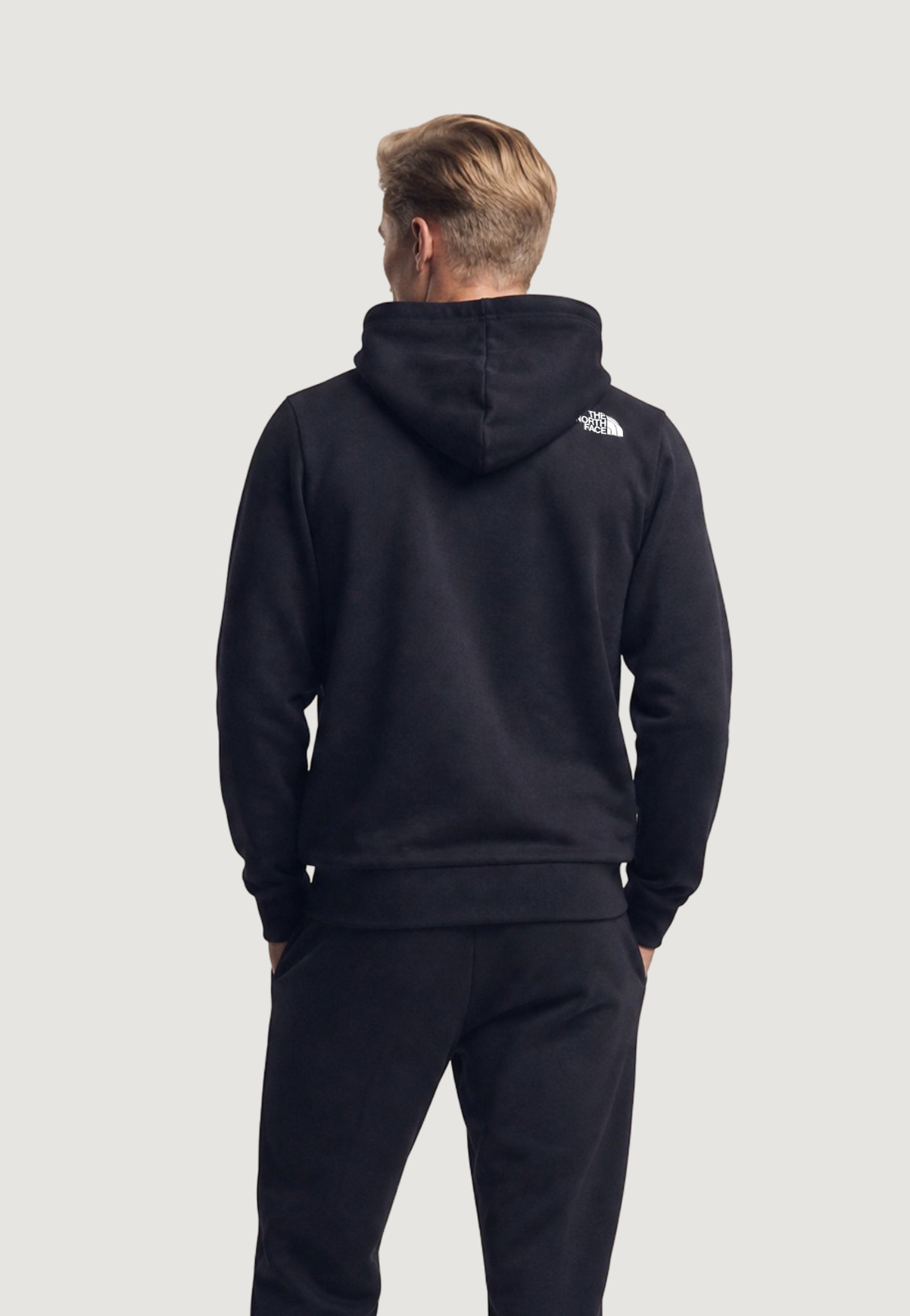 Hoodie The North Face M EVO BOX HD REG FZ HD