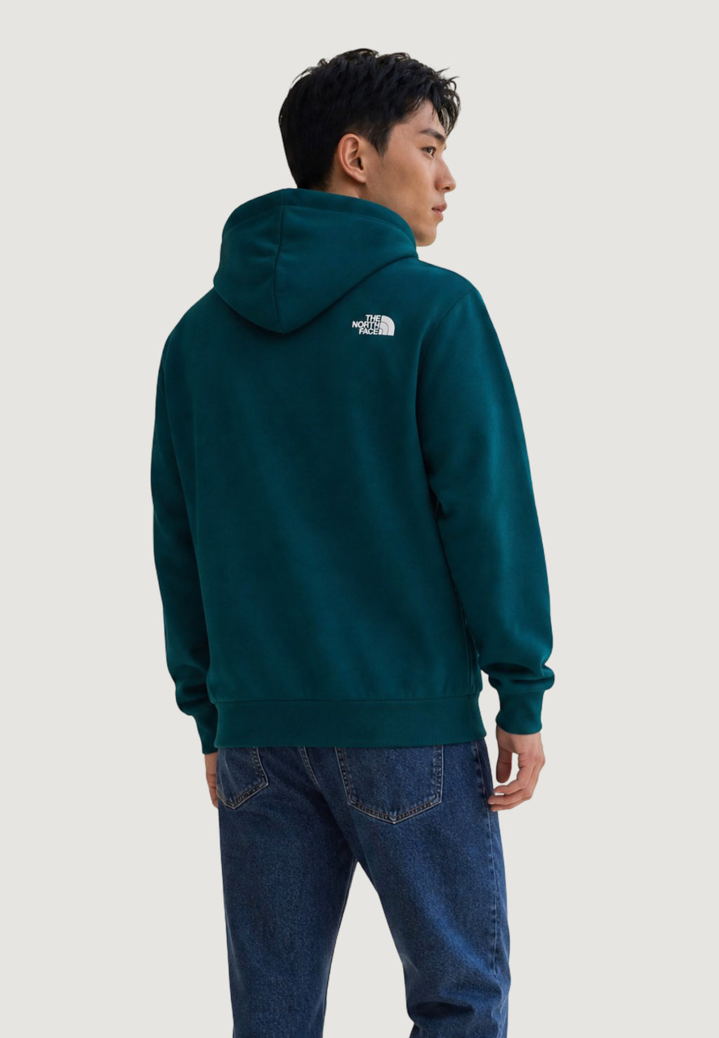 Felpa con cappuccio The North Face M BOX HD REG HD