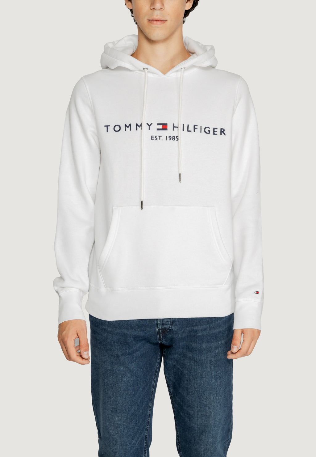 Hoodie Tommy Hilfiger TOMMY LOGO HOODY