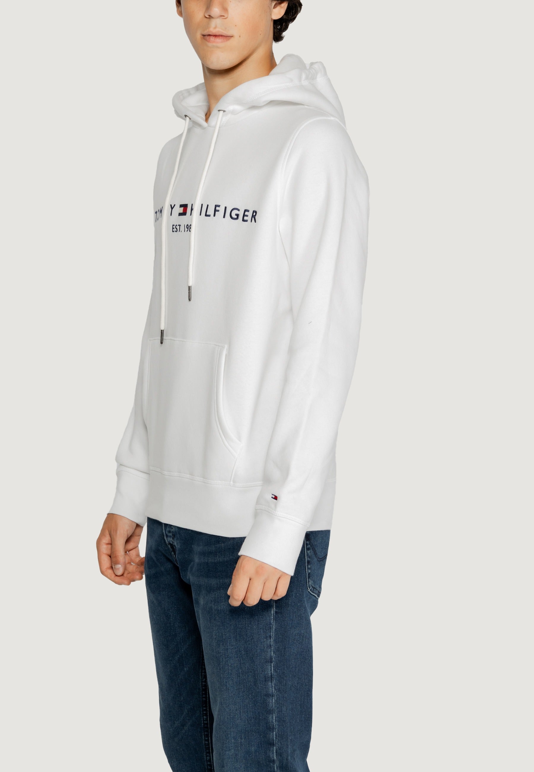 Hoodie Tommy Hilfiger TOMMY LOGO HOODY
