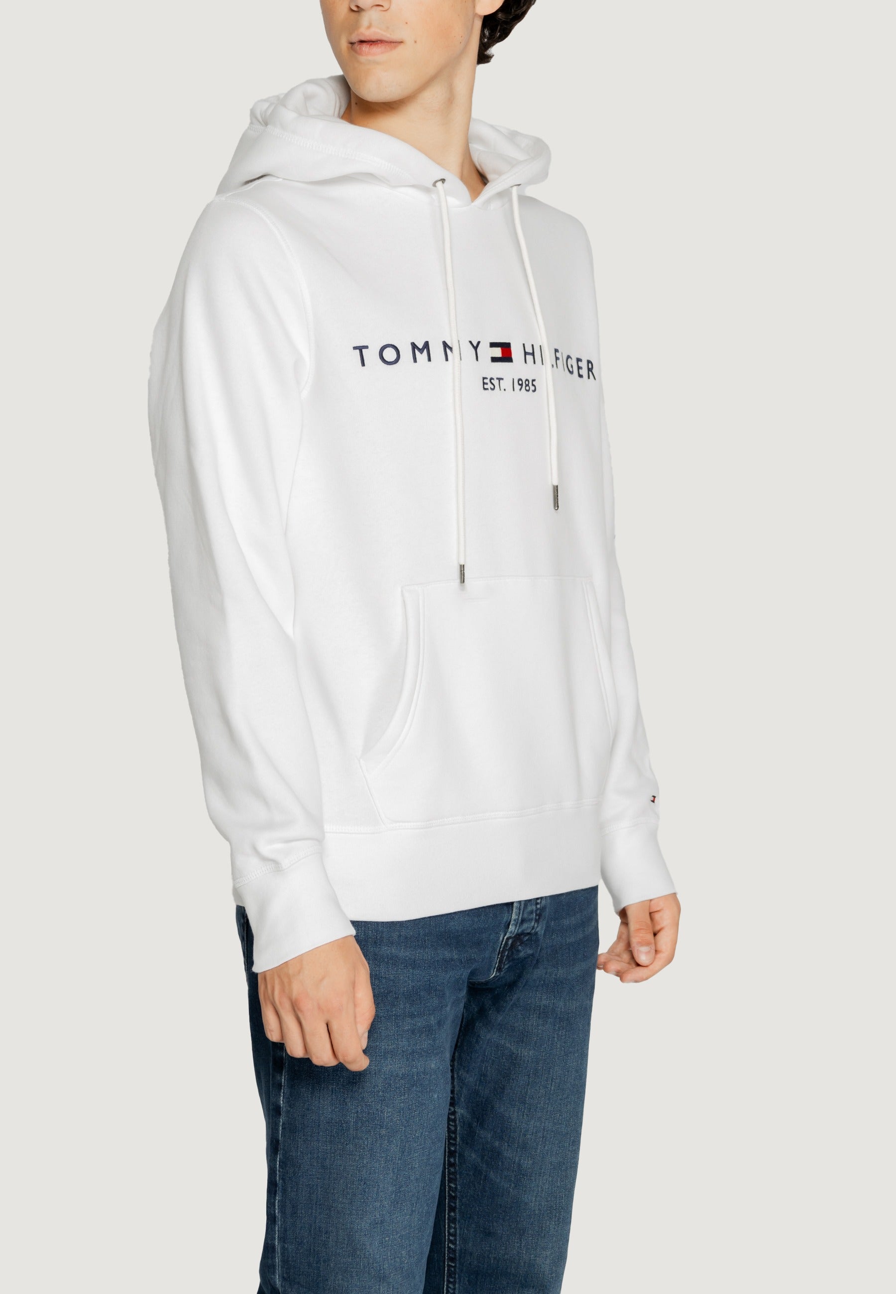 Hoodie Tommy Hilfiger TOMMY LOGO HOODY