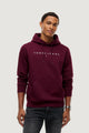 Felpa con cappuccio Tommy Hilfiger Jeans TJM REG LINEAR LOGO