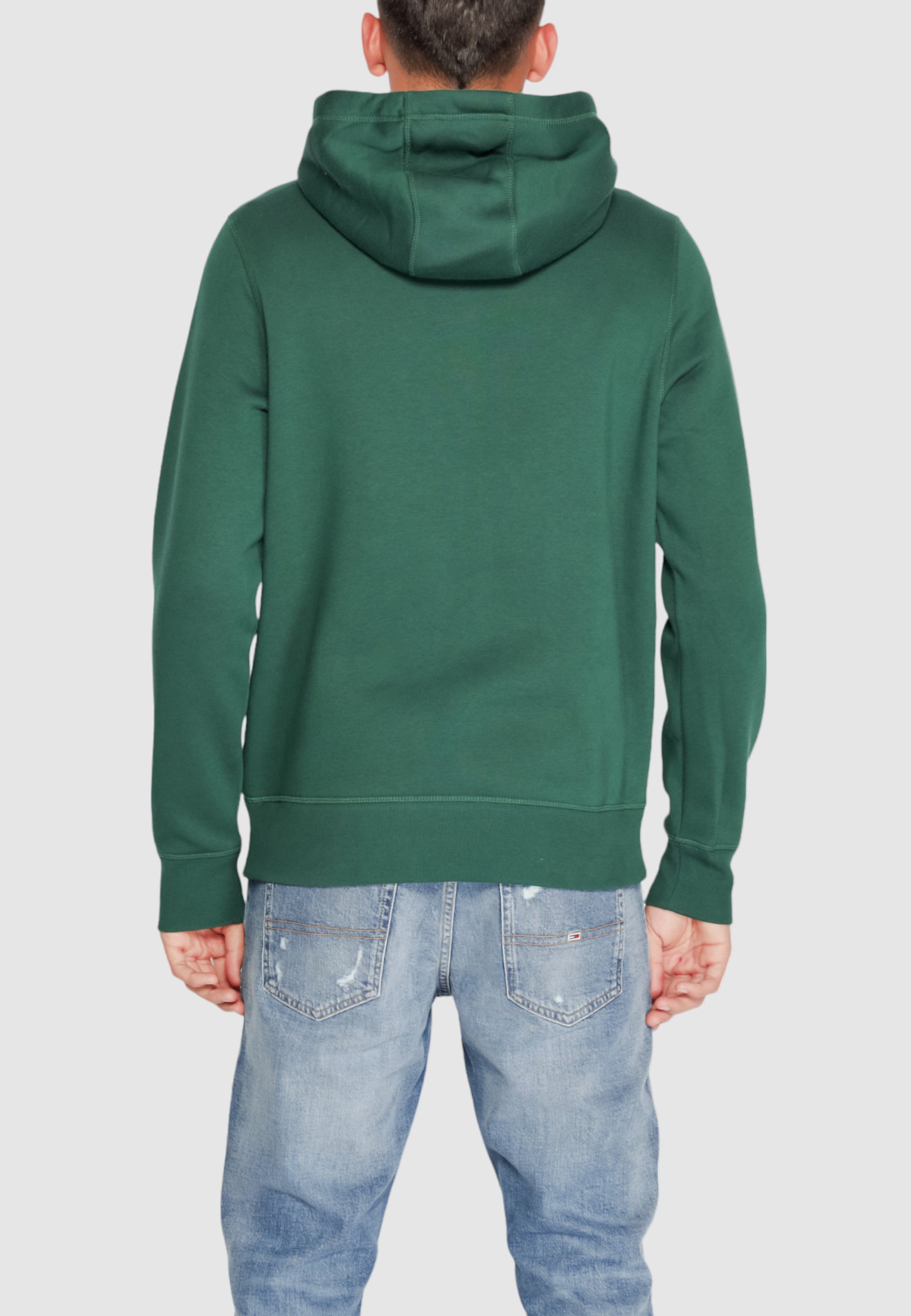 Hoodie Tommy Hilfiger TOMMY LOGO