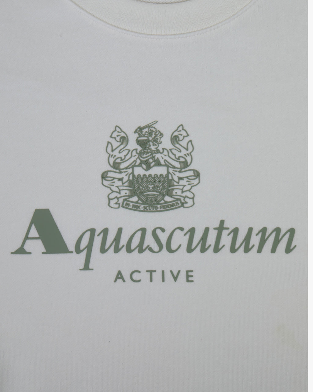 Sweatshirt Aquascutum Active BIG LOGO CREWNECK