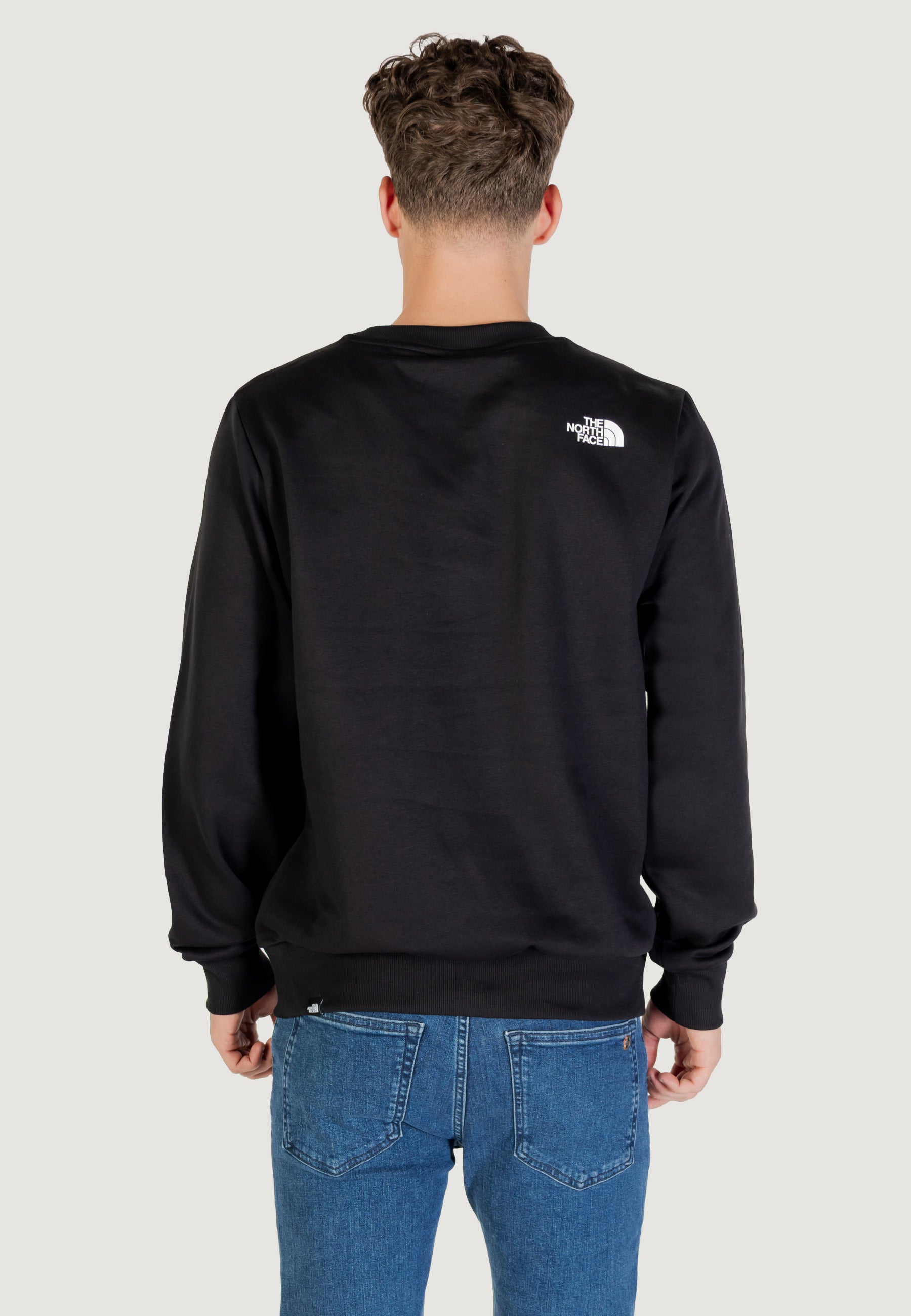 Felpa senza cappuccio THE NORTH FACE M FINE CREW TNF