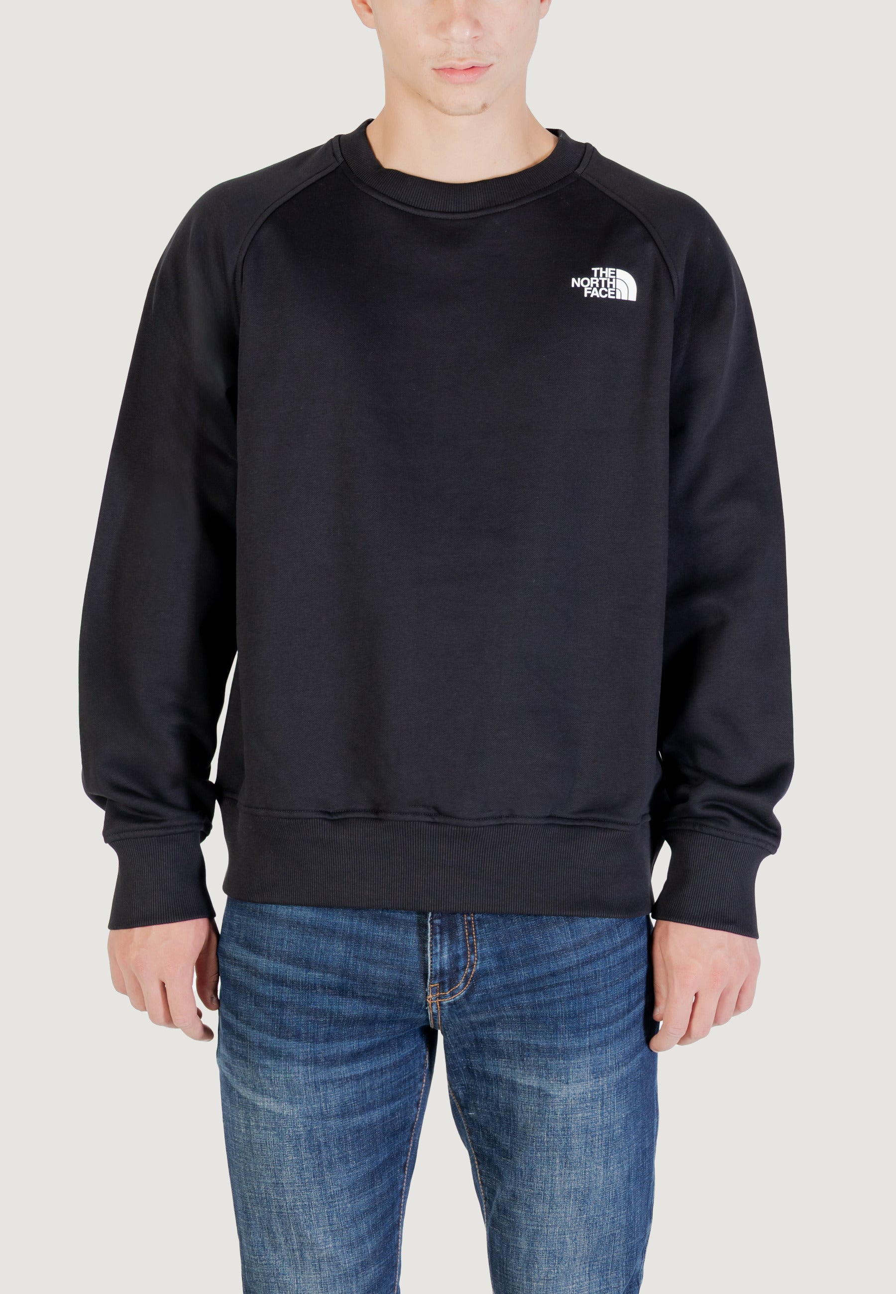 Felpa senza cappuccio THE NORTH FACE M RAGLAN BOX NSE CREW