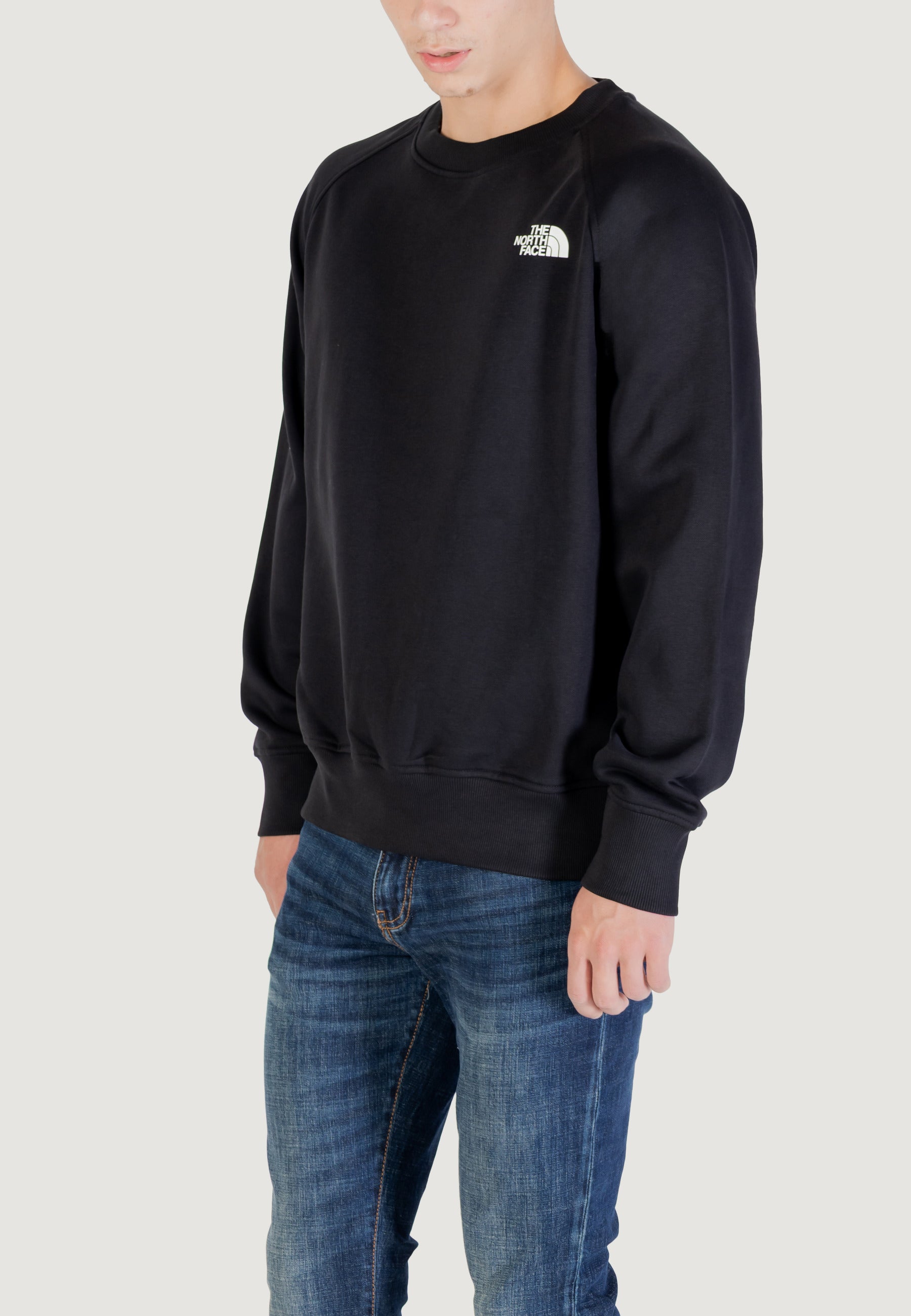 Felpa senza cappuccio THE NORTH FACE M RAGLAN BOX NSE CREW