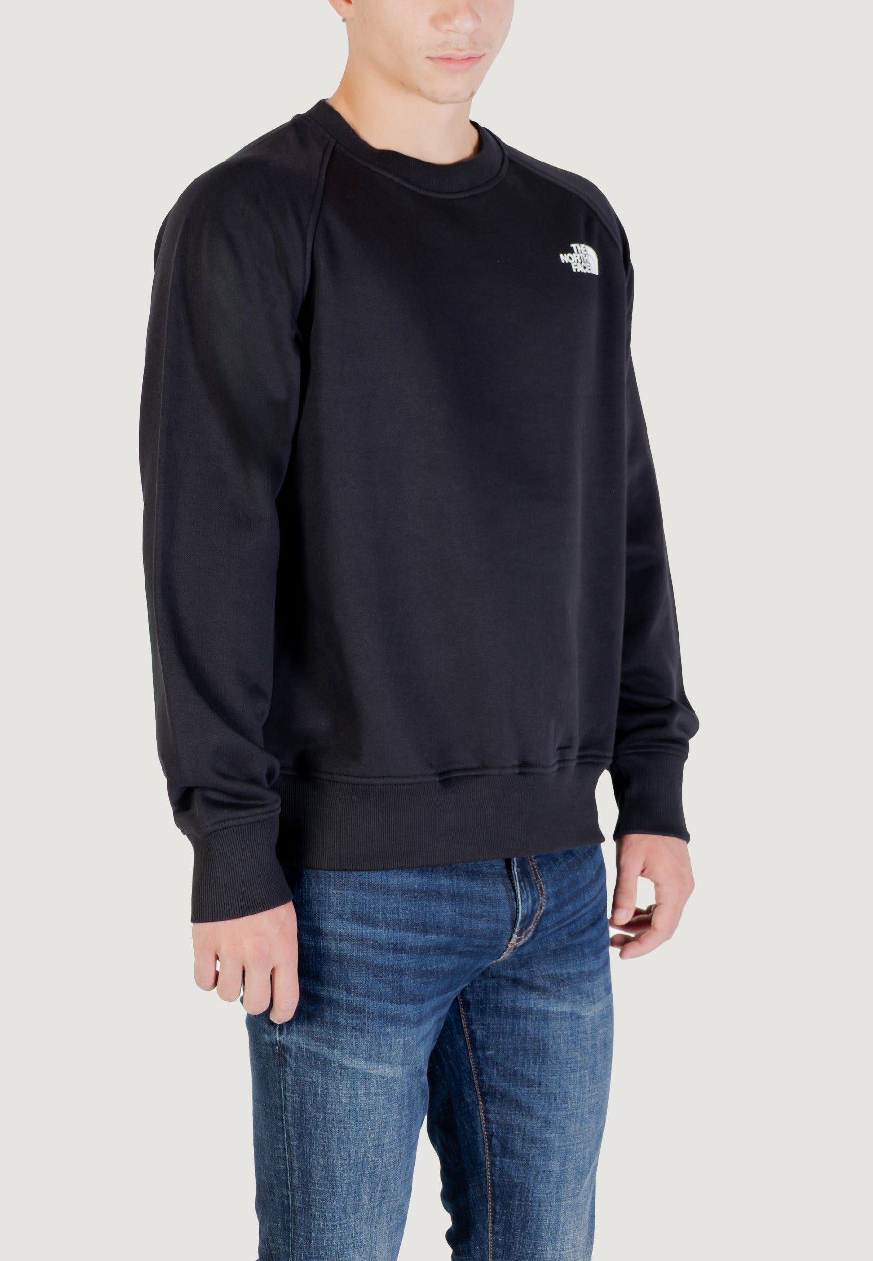 Felpa senza cappuccio THE NORTH FACE M RAGLAN BOX NSE CREW