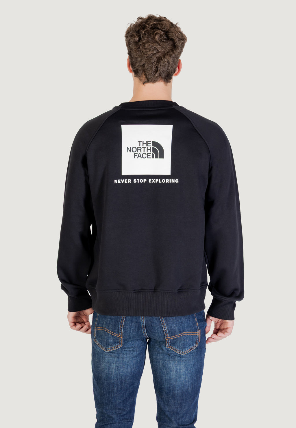 Felpa senza cappuccio THE NORTH FACE M RAGLAN BOX NSE CREW