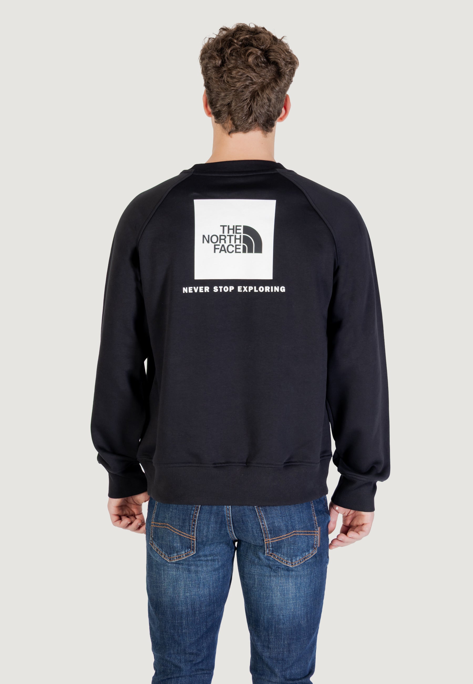 Felpa senza cappuccio THE NORTH FACE M RAGLAN BOX NSE CREW