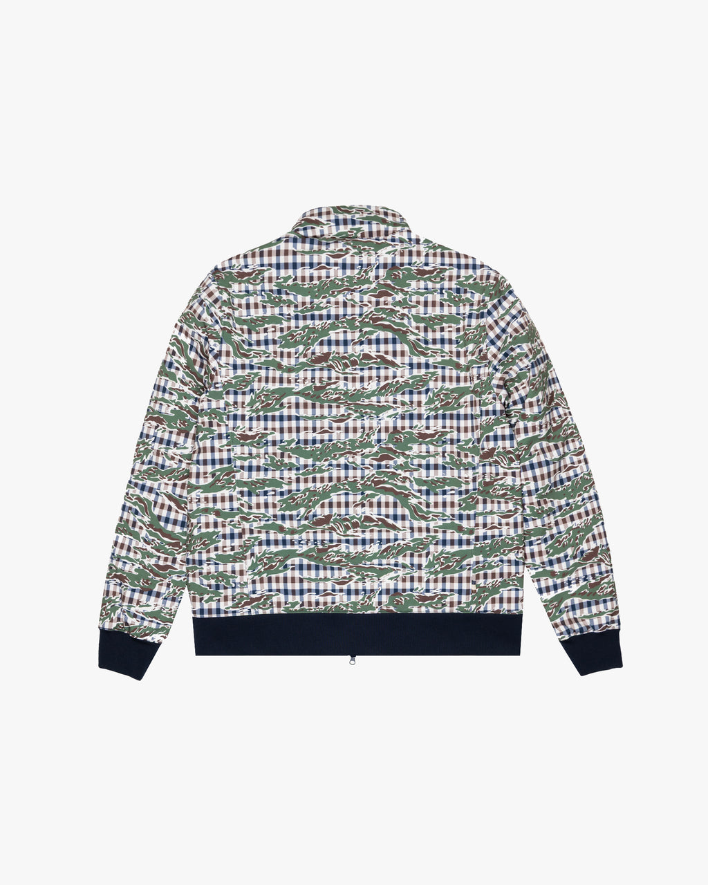 Giacchetto Aquascutum Active SOFT SHELL MID JACKET