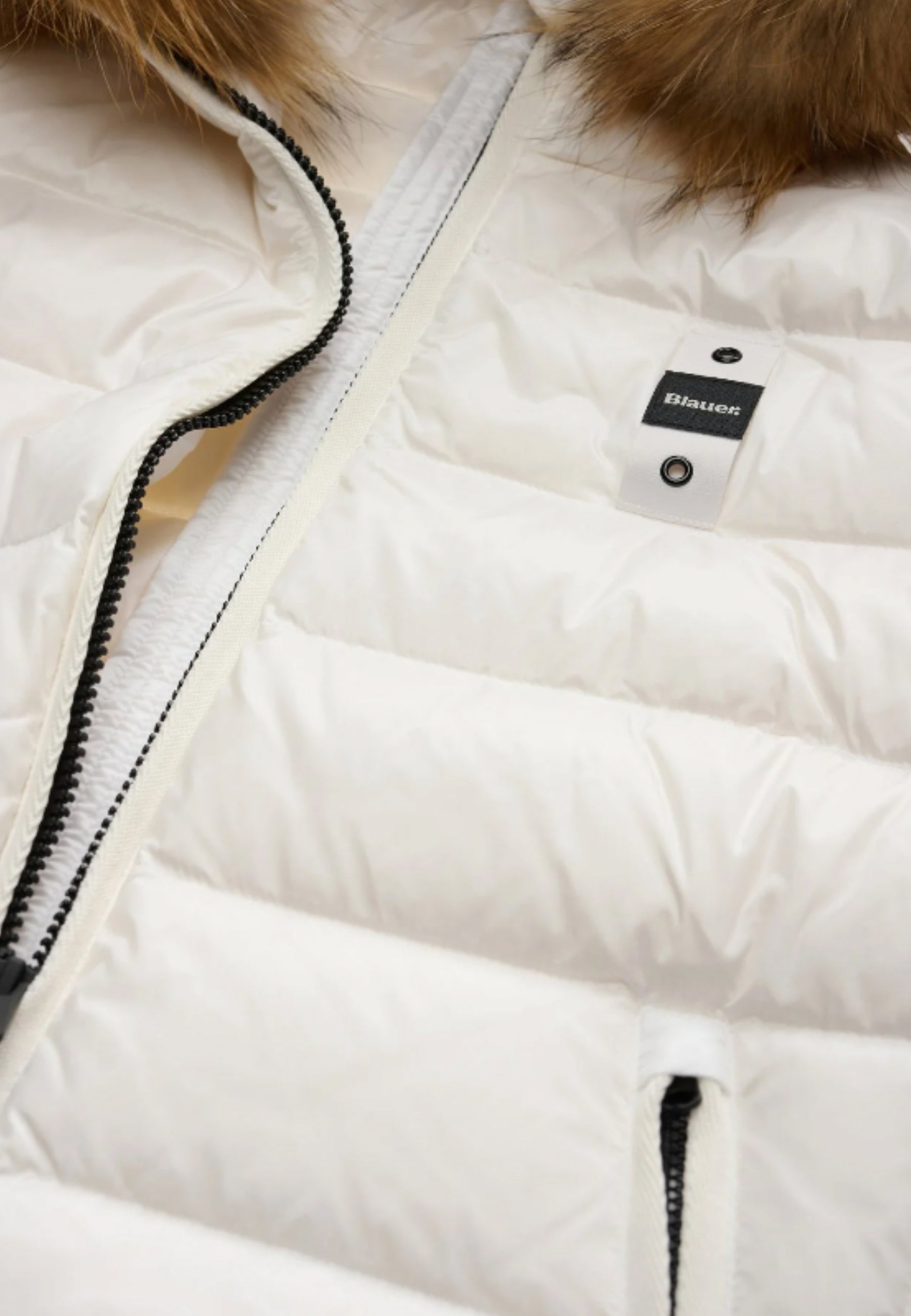 Jackets Blauer. ARCADIA