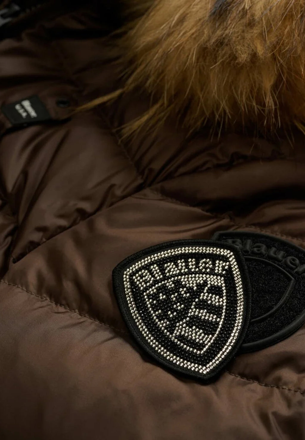 Jackets Blauer. ARCADIA