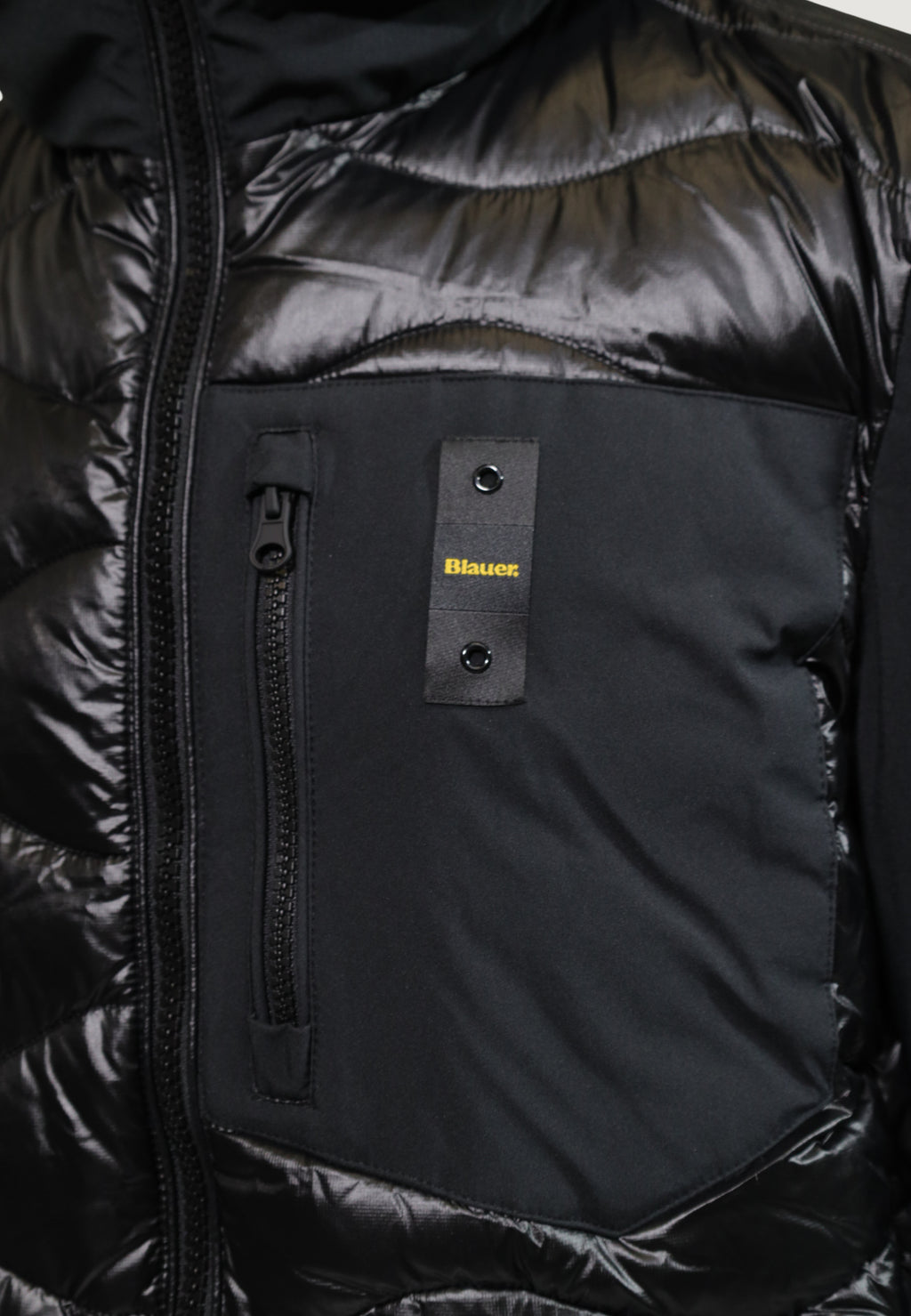 Jacket Blauer. ALBERT