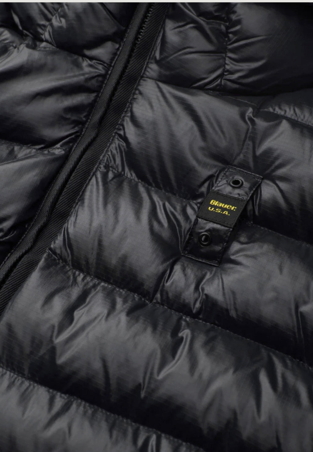 Jacket Blauer. ADAMS