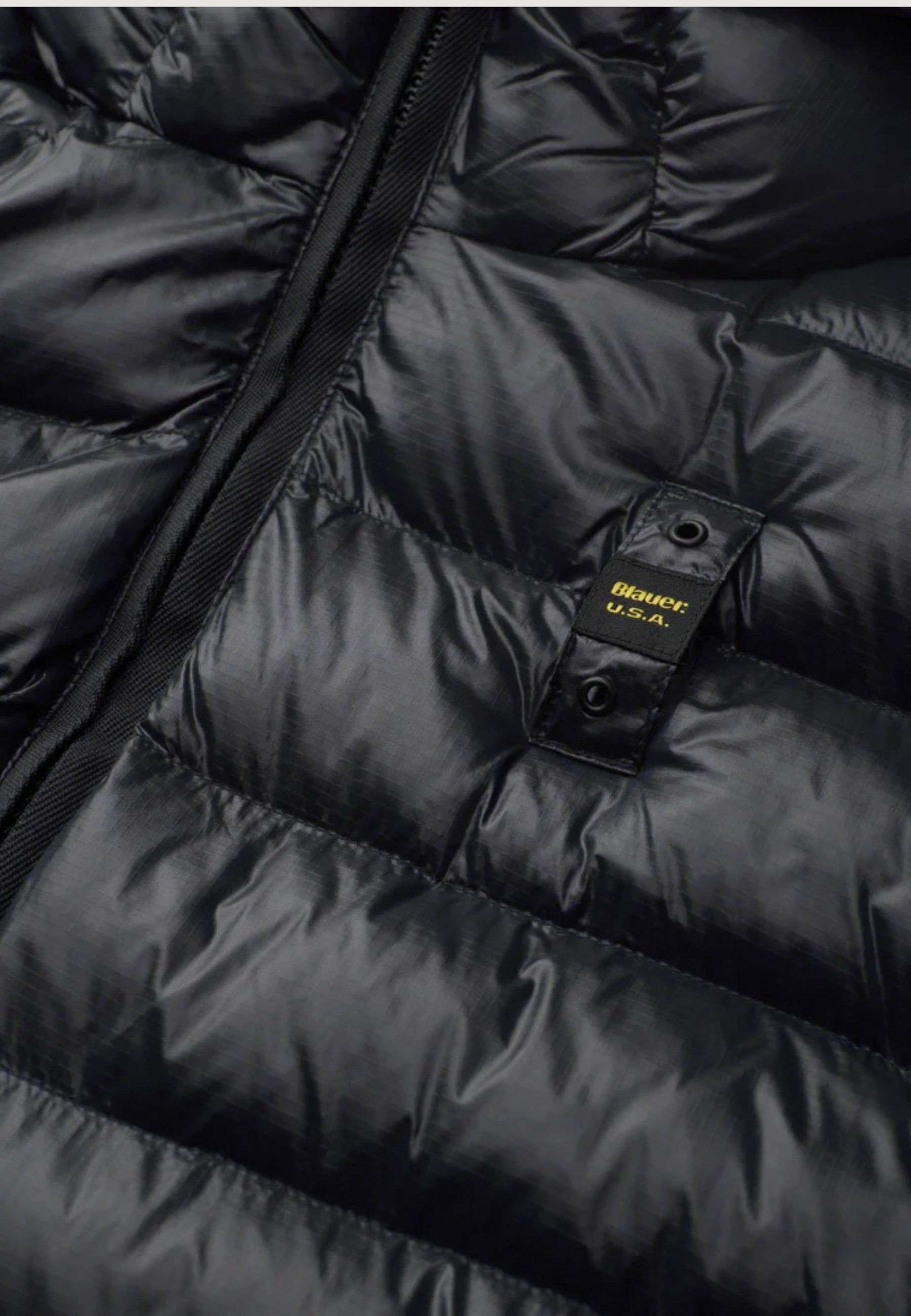 Jacket Blauer. ADAMS
