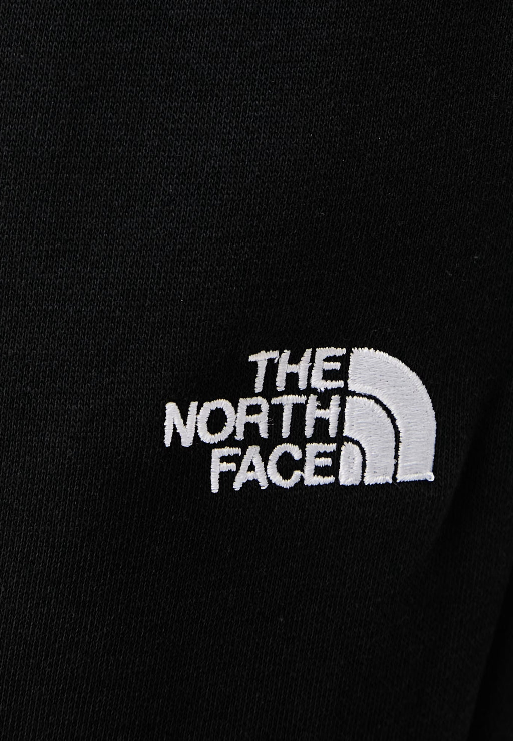 Pantaloni sportivi The North Face W EVOLUTION SIMPLE DOME REGULAR PANT