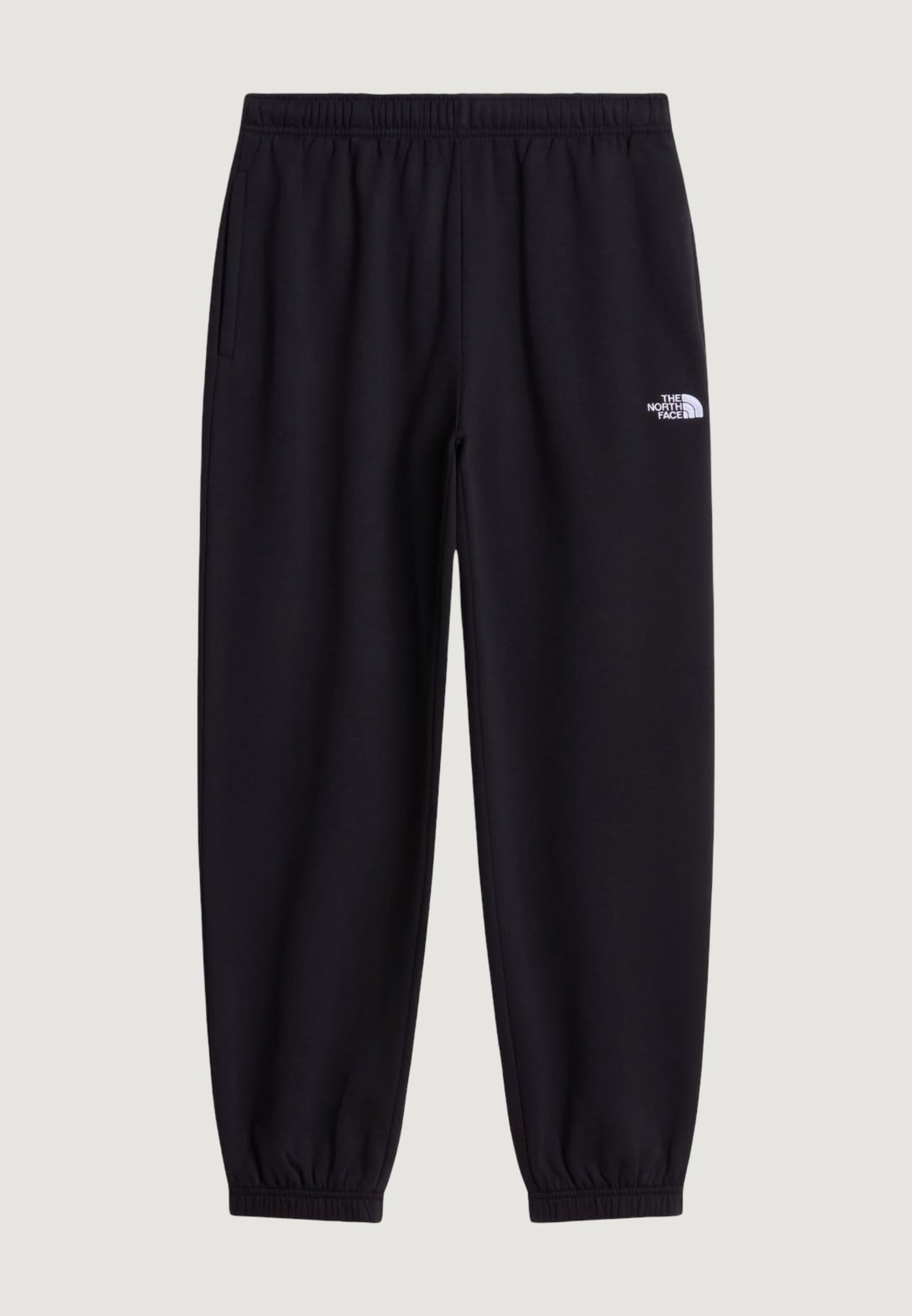 Pantaloni sportivi The North Face W EVOLUTION SIMPLE DOME REGULAR PANT