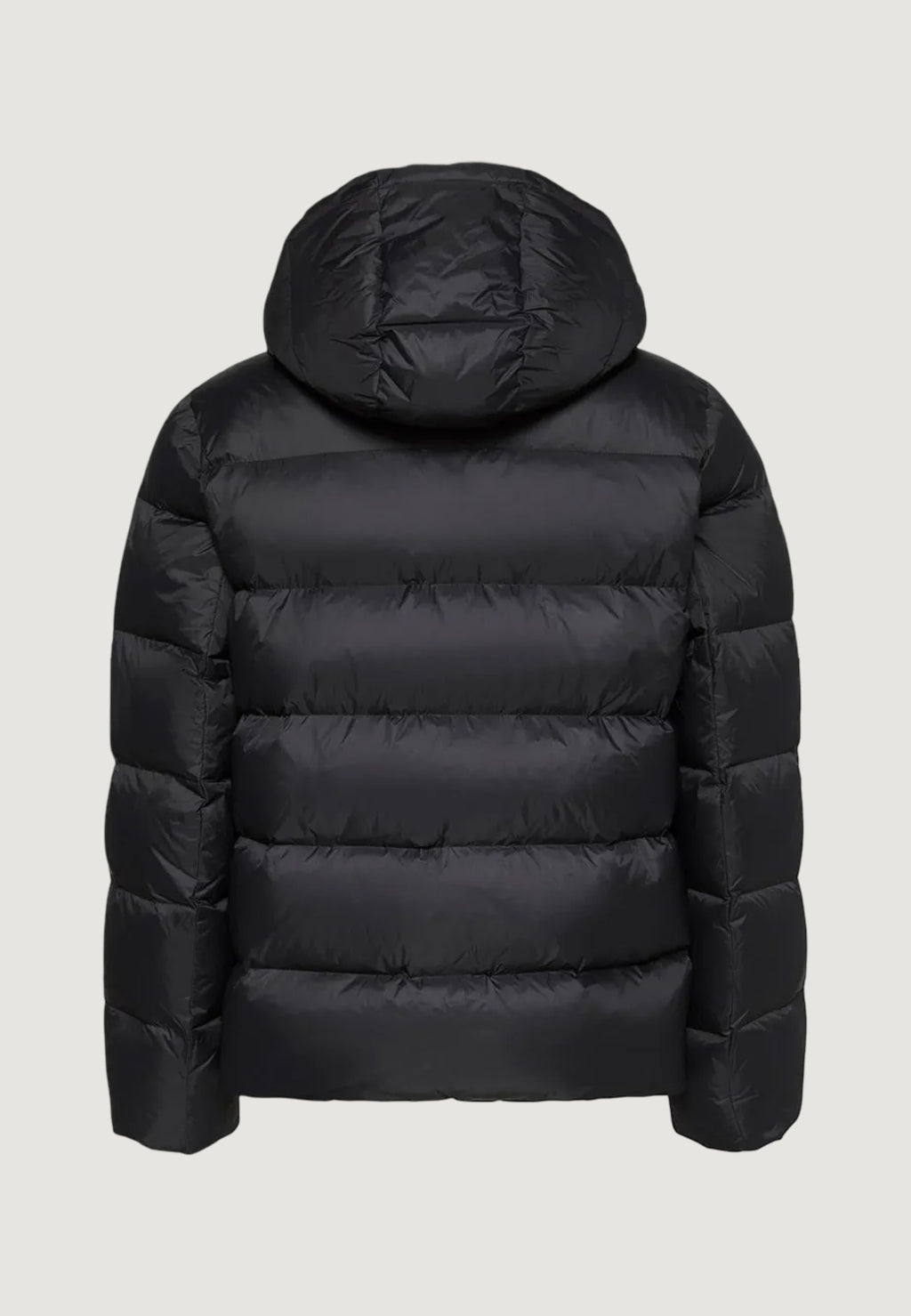 Down Jacket Calvin Klein Jeans LV04RH502G