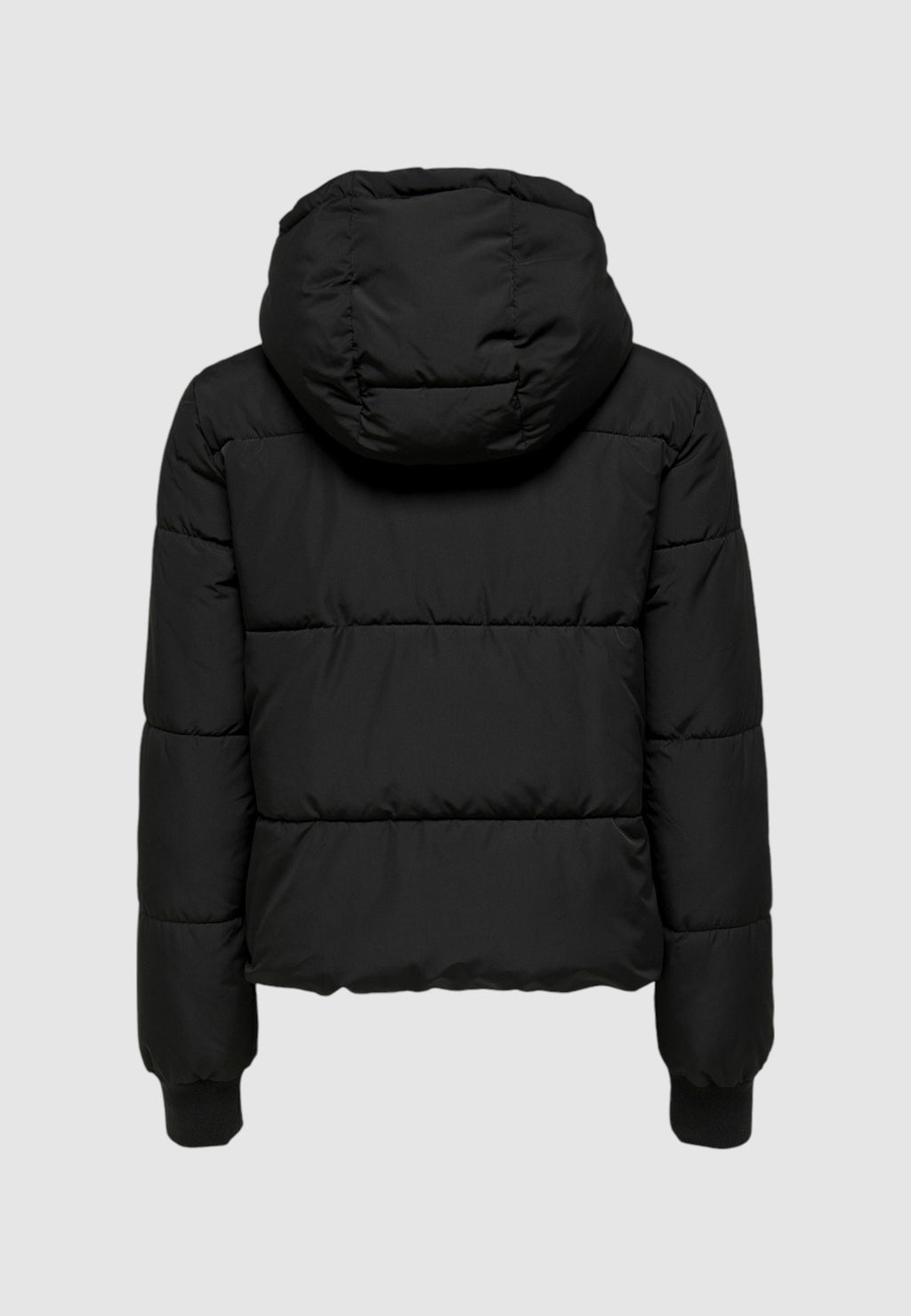 Piumino Jacqueline de Yong JDYNEWERICA SHORT  NOOS