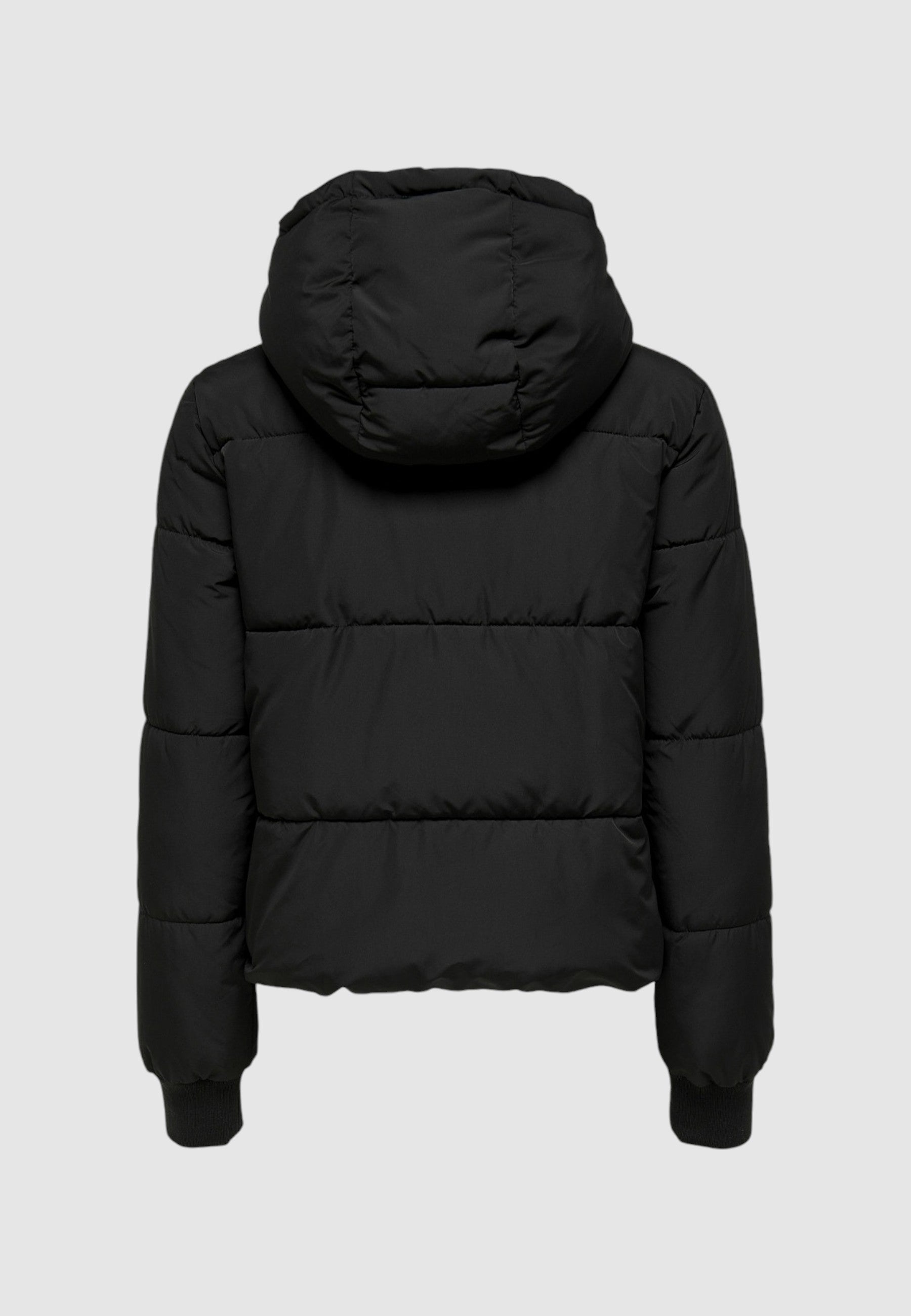 Piumino Jacqueline de Yong JDYNEWERICA SHORT  NOOS