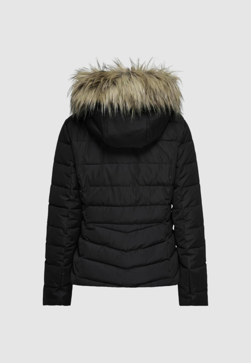 Down jacket Only ONLELLAN QUILTED HOOD CC OTW