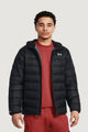 Down Jacket Under Armour LEGEND DOWN HOODED JKT
