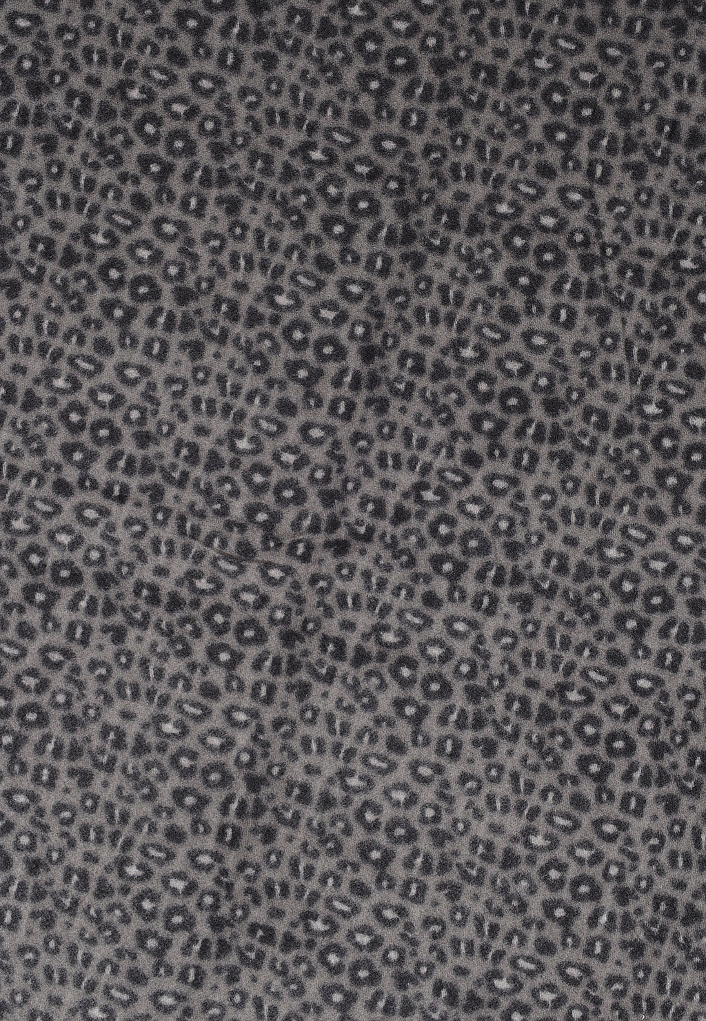 Scarf Only ONLJOSEPHINE ANIMAL PRINT SCARF CC ACC