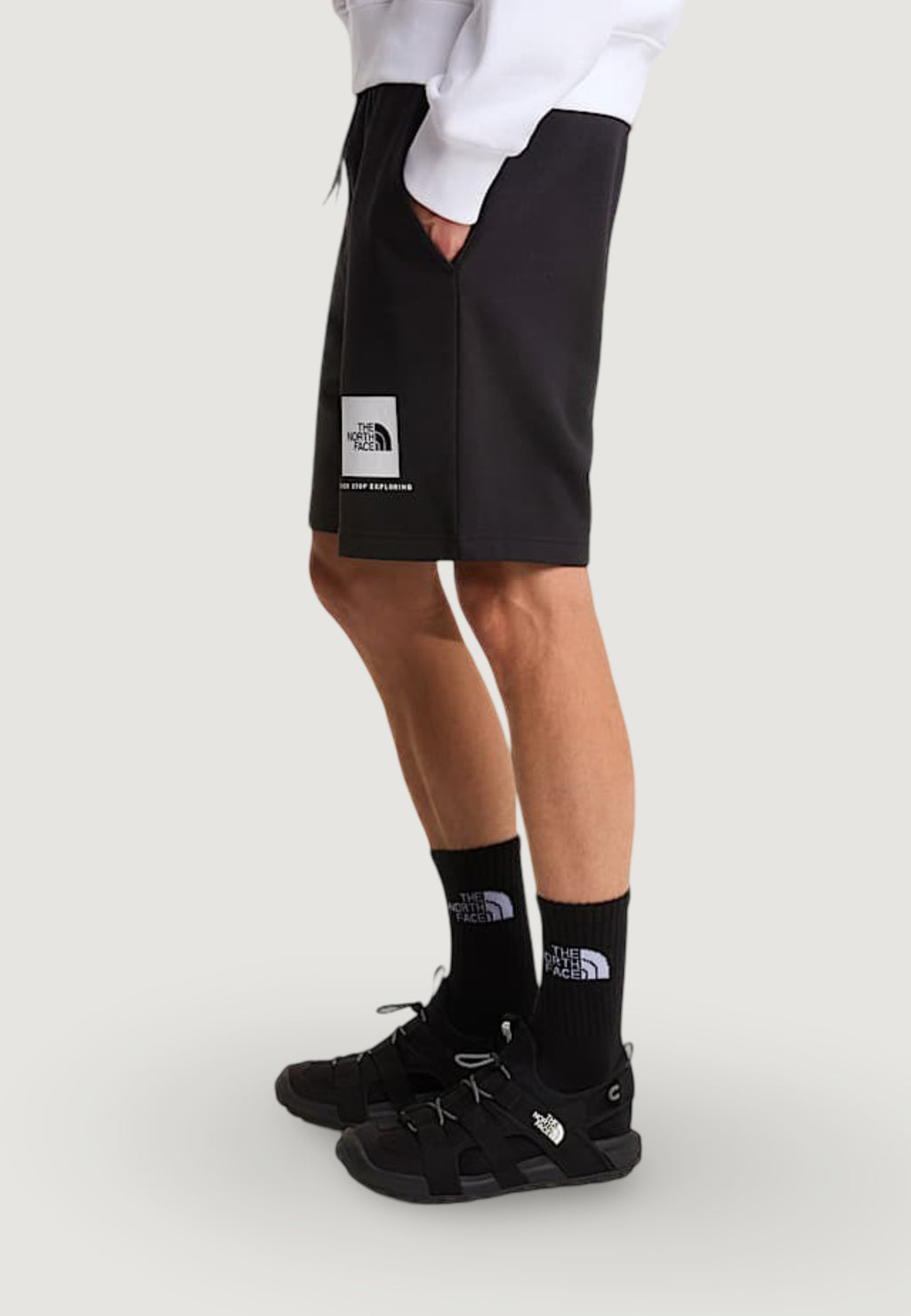 Shorts The North Face M BOX NSE LIGHT REGULAR