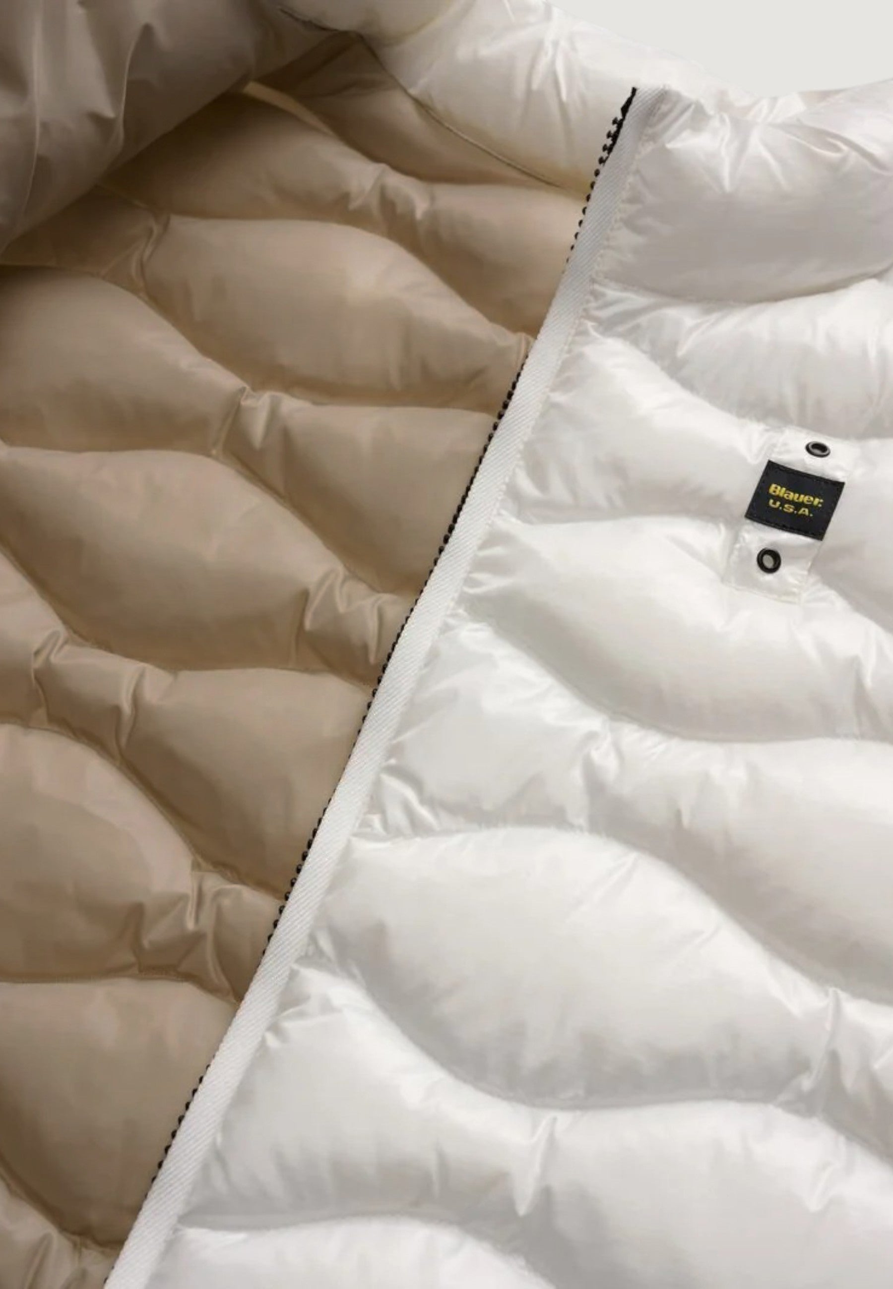 Smanicato Blauer. DANNY