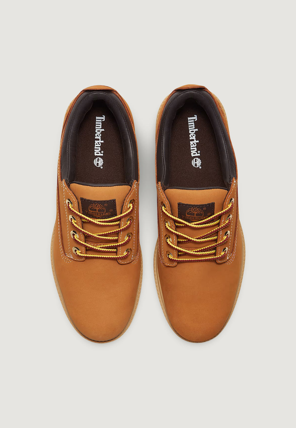 Scarpe eleganti Timberland HRTG LACE UP
