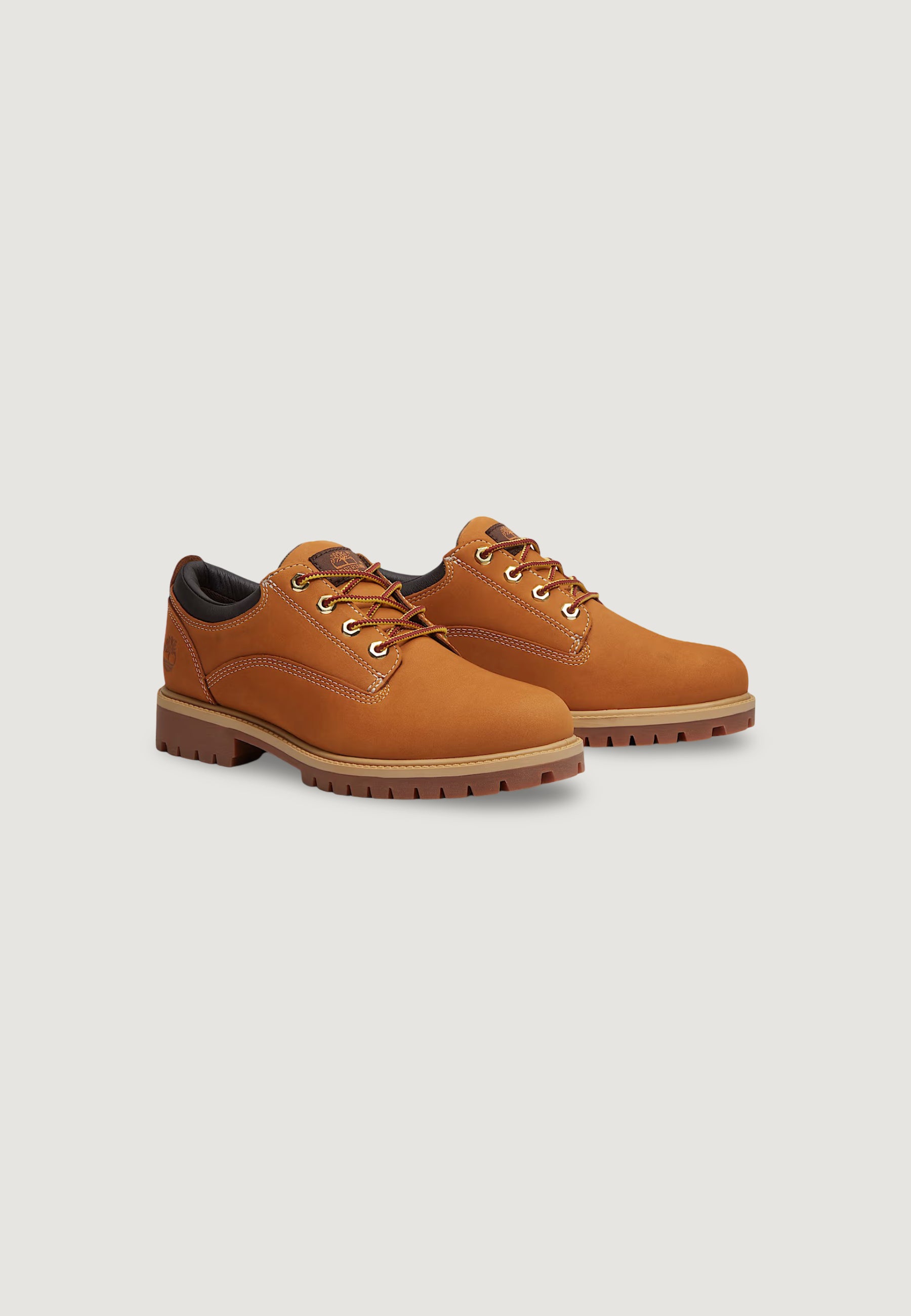 Scarpe eleganti Timberland HRTG LACE UP