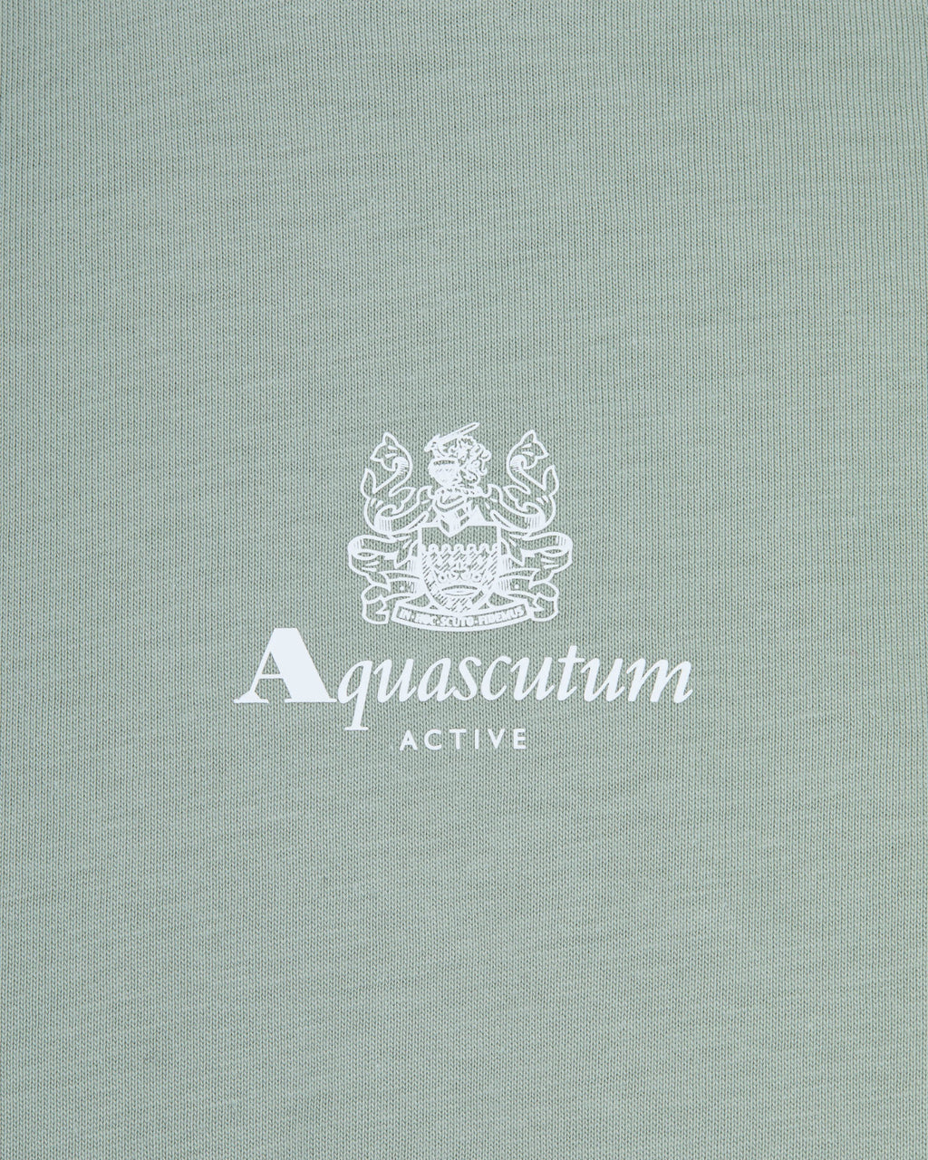 T-shirt Aquascutum Active CENTRAL SMALL LOGO T-SHIRT