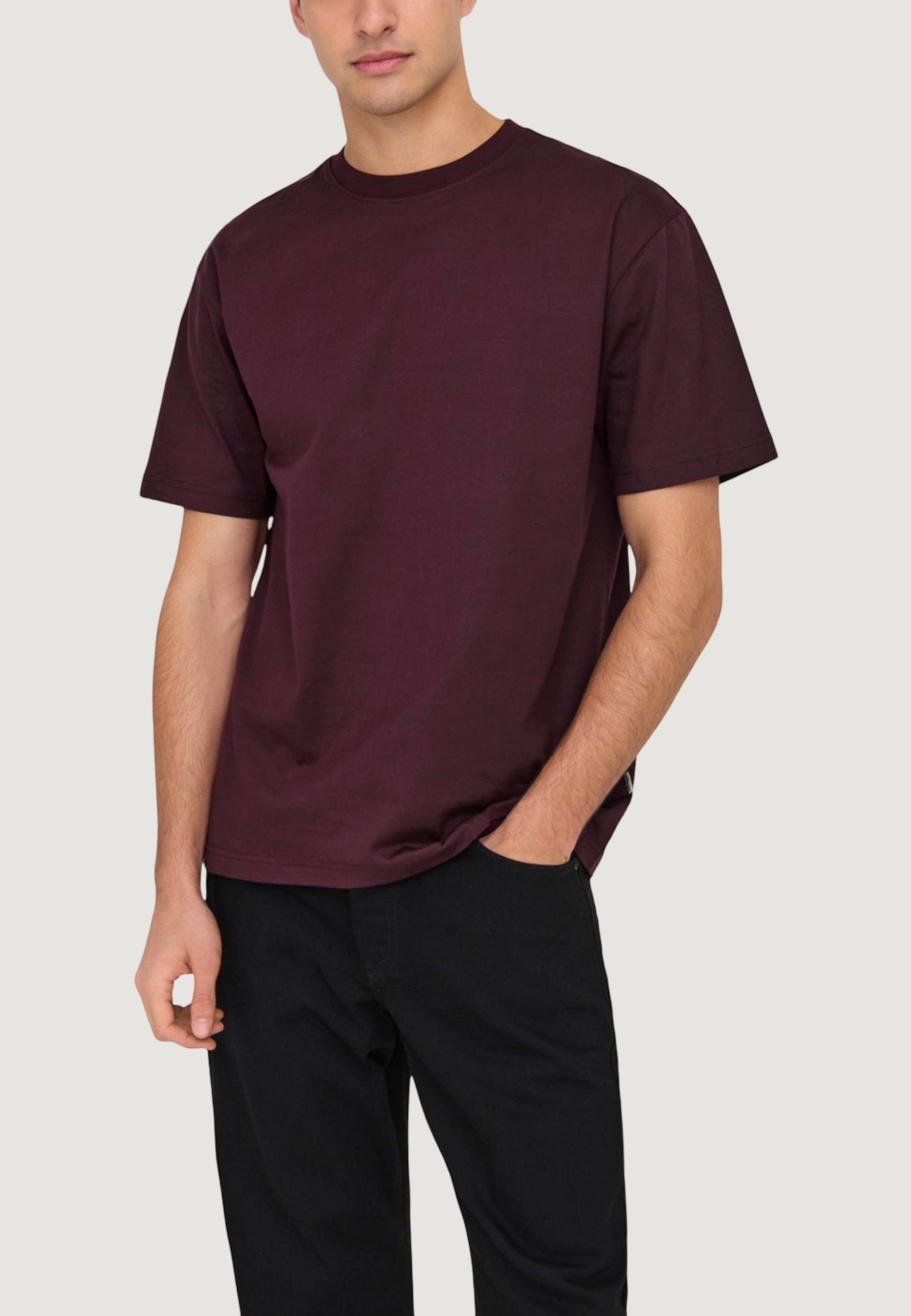 T-shirt Only & Sons Onsfred Life Rlx Ss Tee Noos