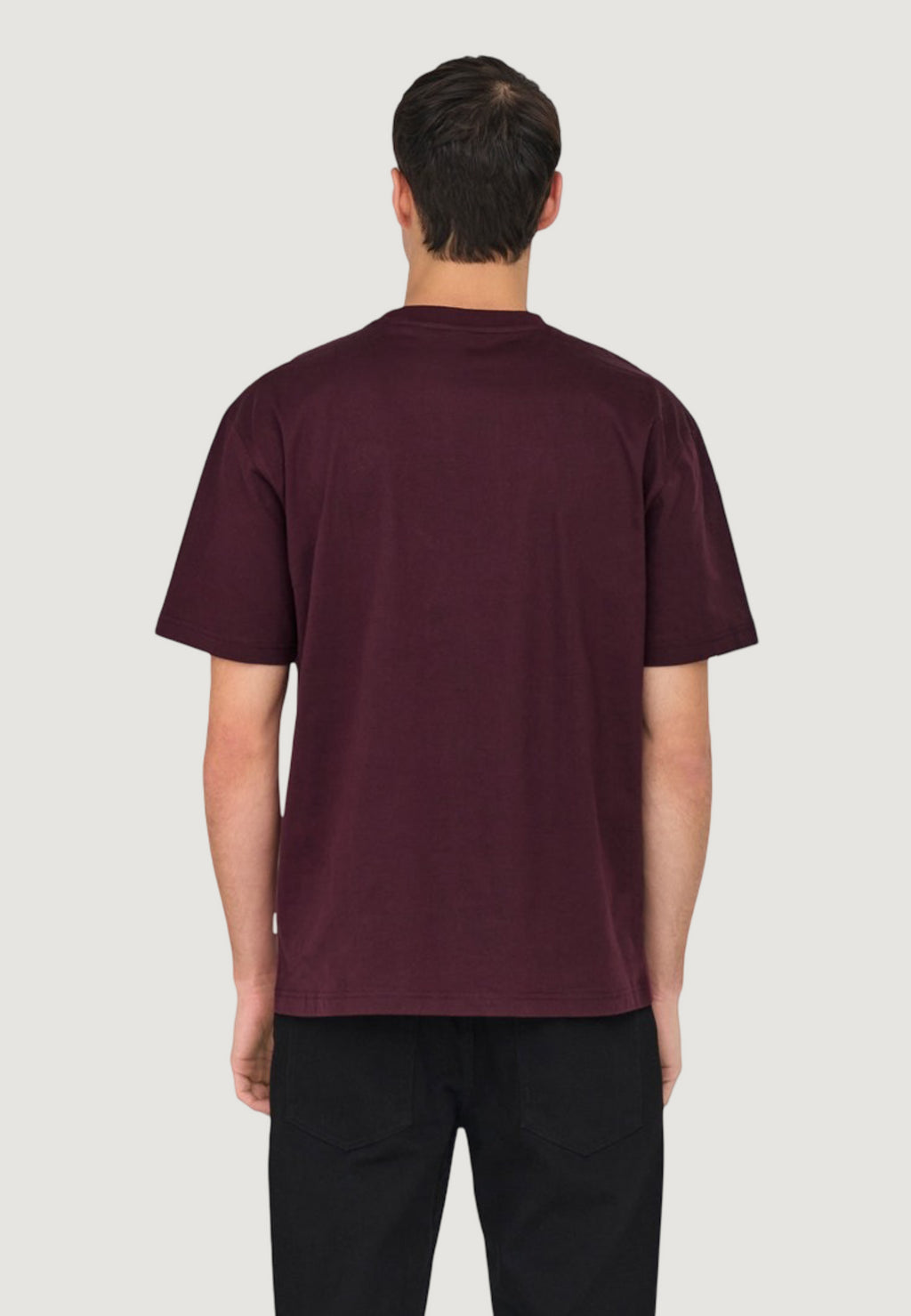 T-shirt Only & Sons Onsfred Life Rlx Ss Tee Noos