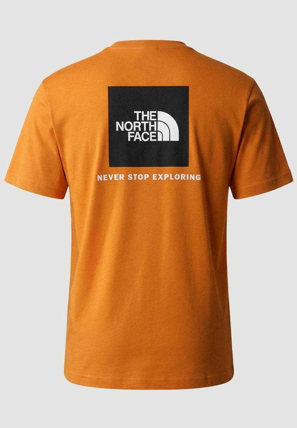 T-shirt THE NORTH FACE M EVOLUTION BOX NSE REGULAR SHORT SLEEVE