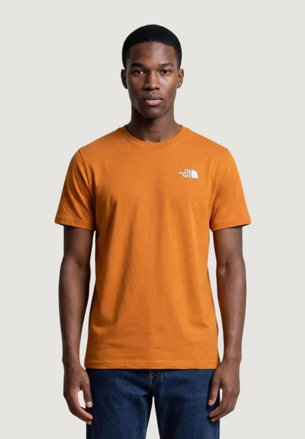 T-shirt THE NORTH FACE M EVOLUTION BOX NSE REGULAR SHORT SLEEVE