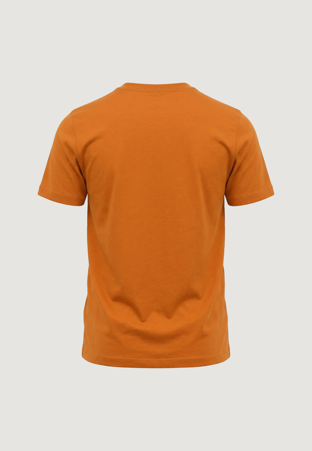 T-shirt The North Face M EVOLUTION SIMPLE DOME REGULAR SHORT SL