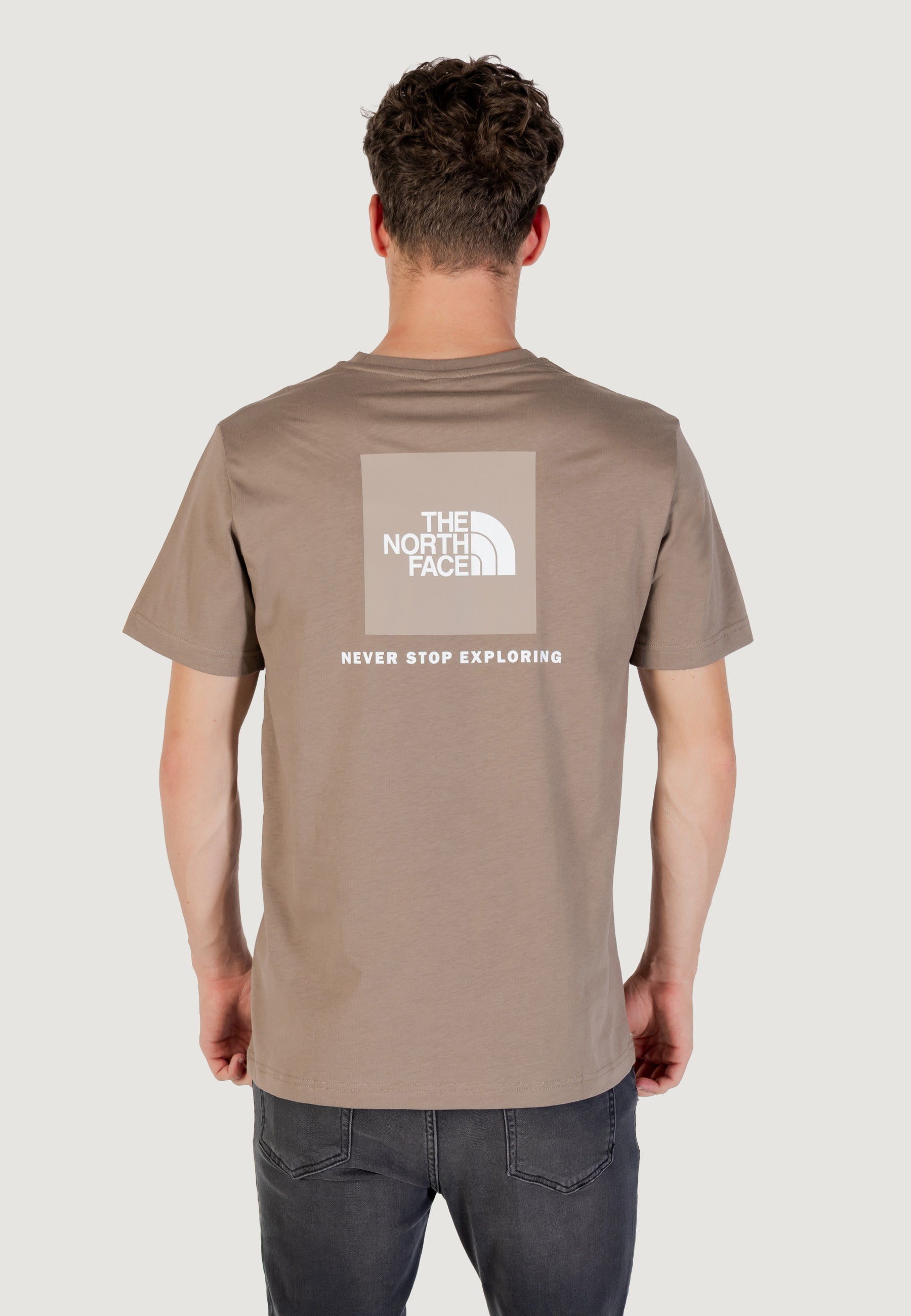T-shirt THE NORTH FACE M SS SIMPLE DOME TEE